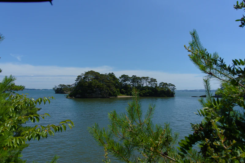 Matsushima Bay panorama showing pine-covered islands scattered across calm water