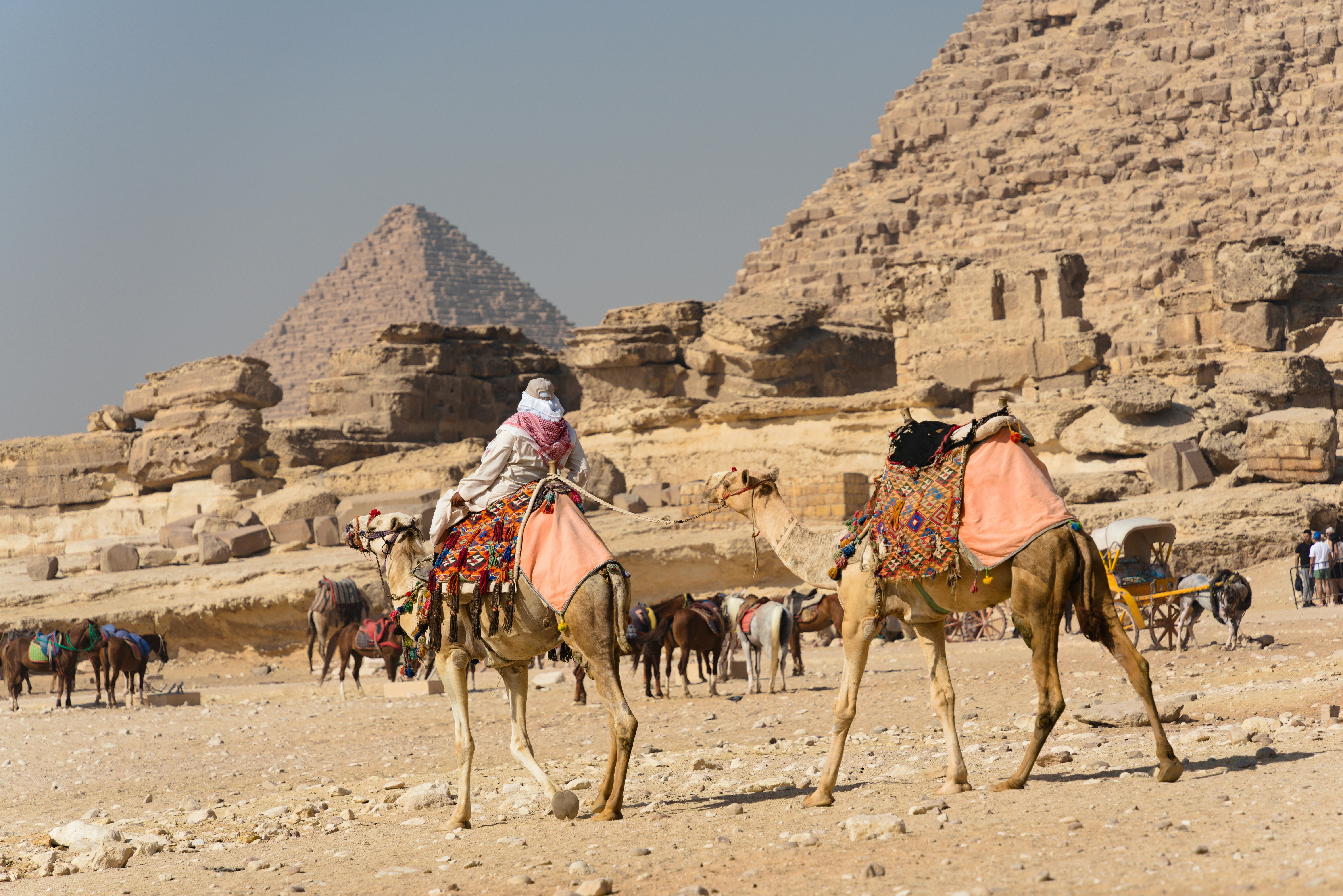 People riding camels near the pyramids in Egypt