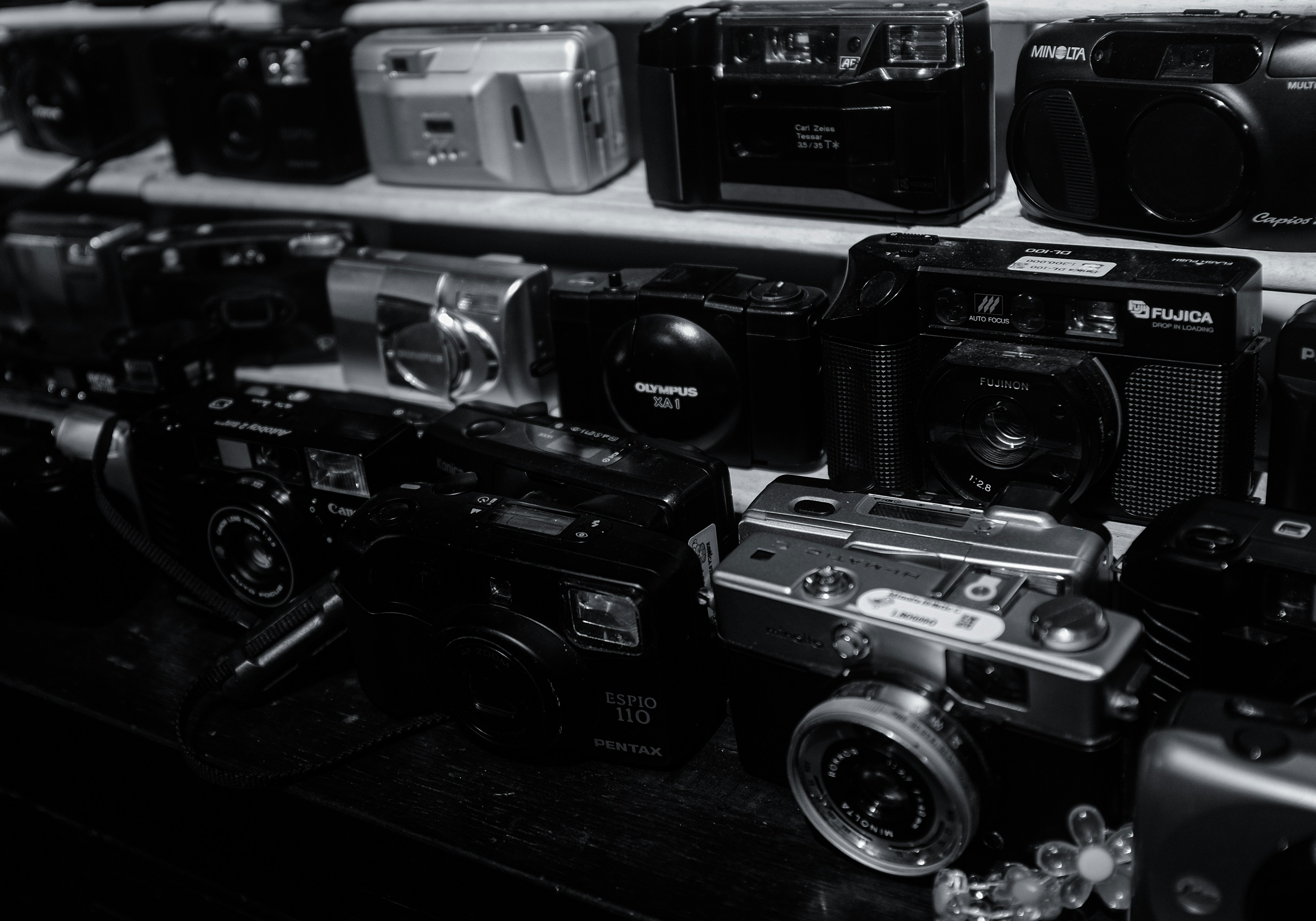 Collection of vintage cameras displayed on shelves