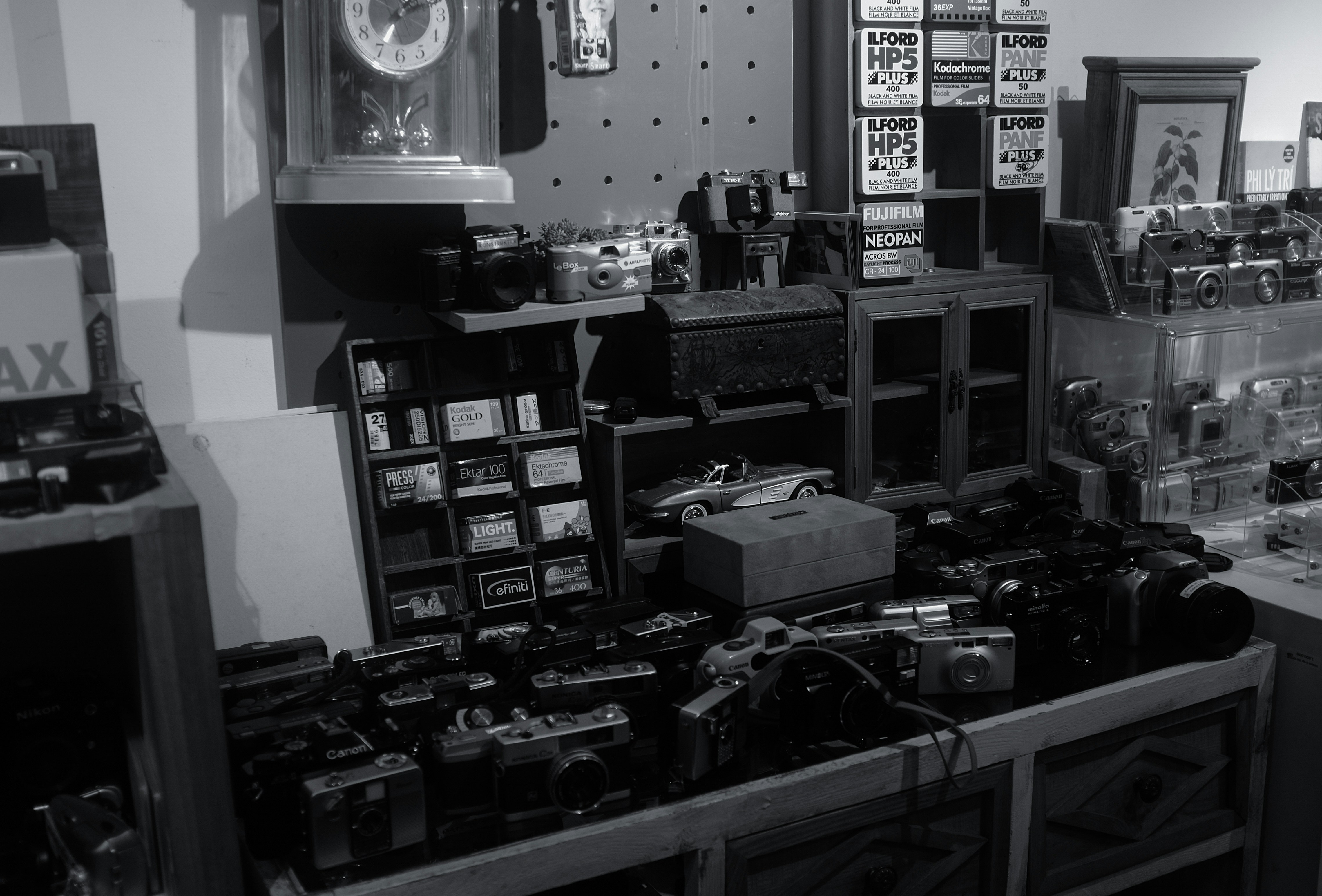 Collection of vintage cameras displayed on shelves and tables.