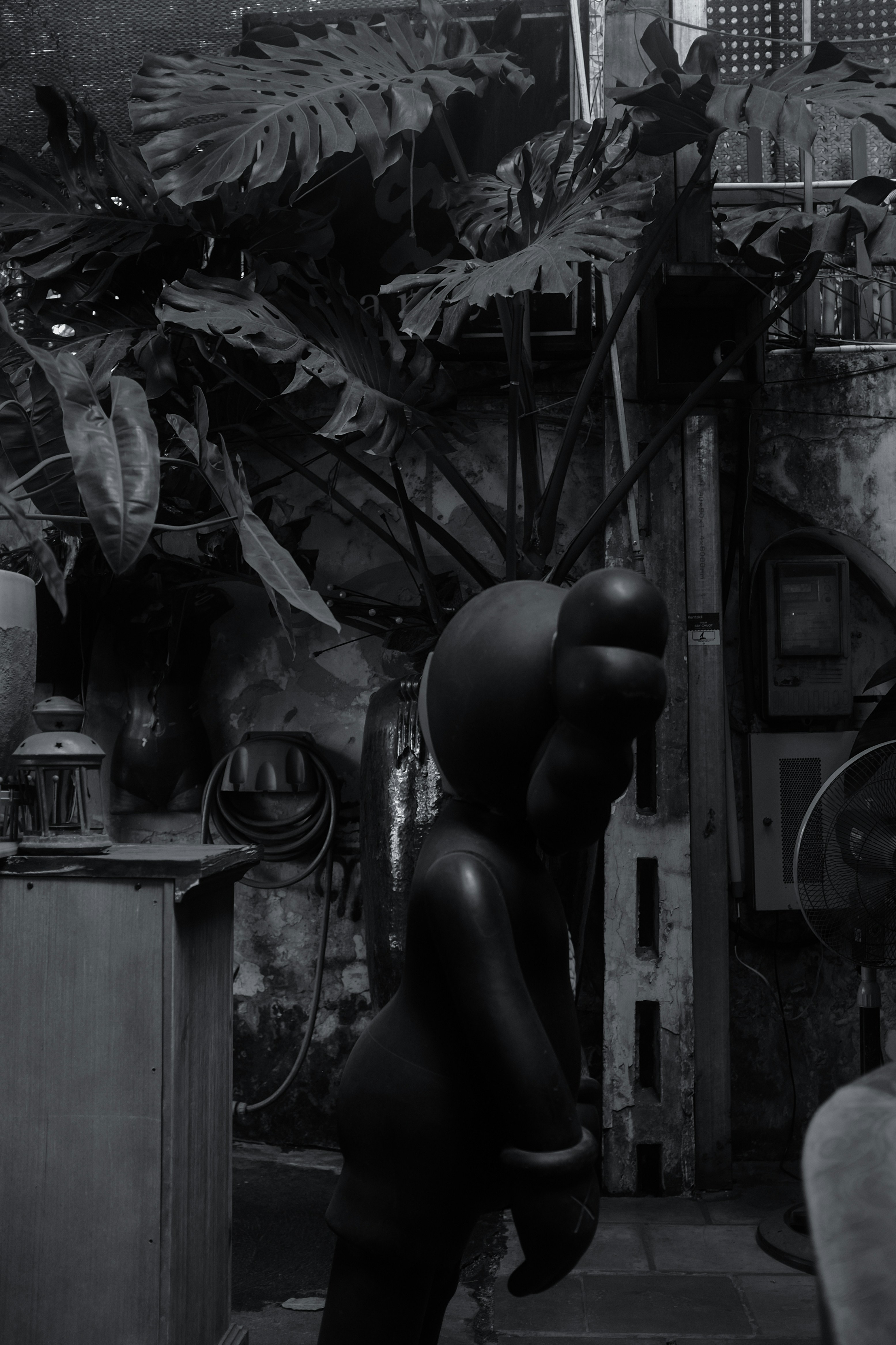 Dark statue with large leaves in cluttered outdoor space