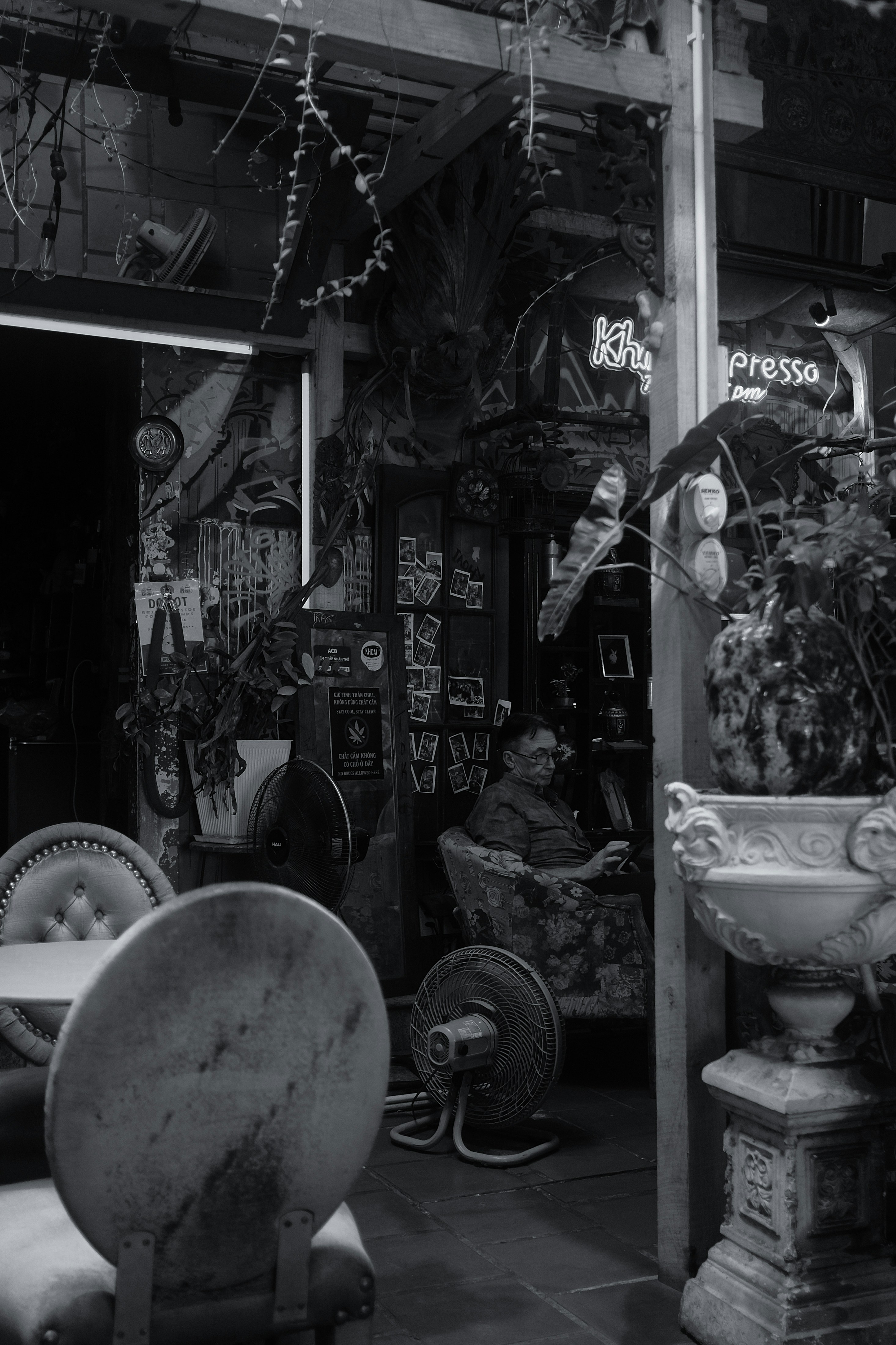Person sitting in a dimly lit, plant-filled room.
