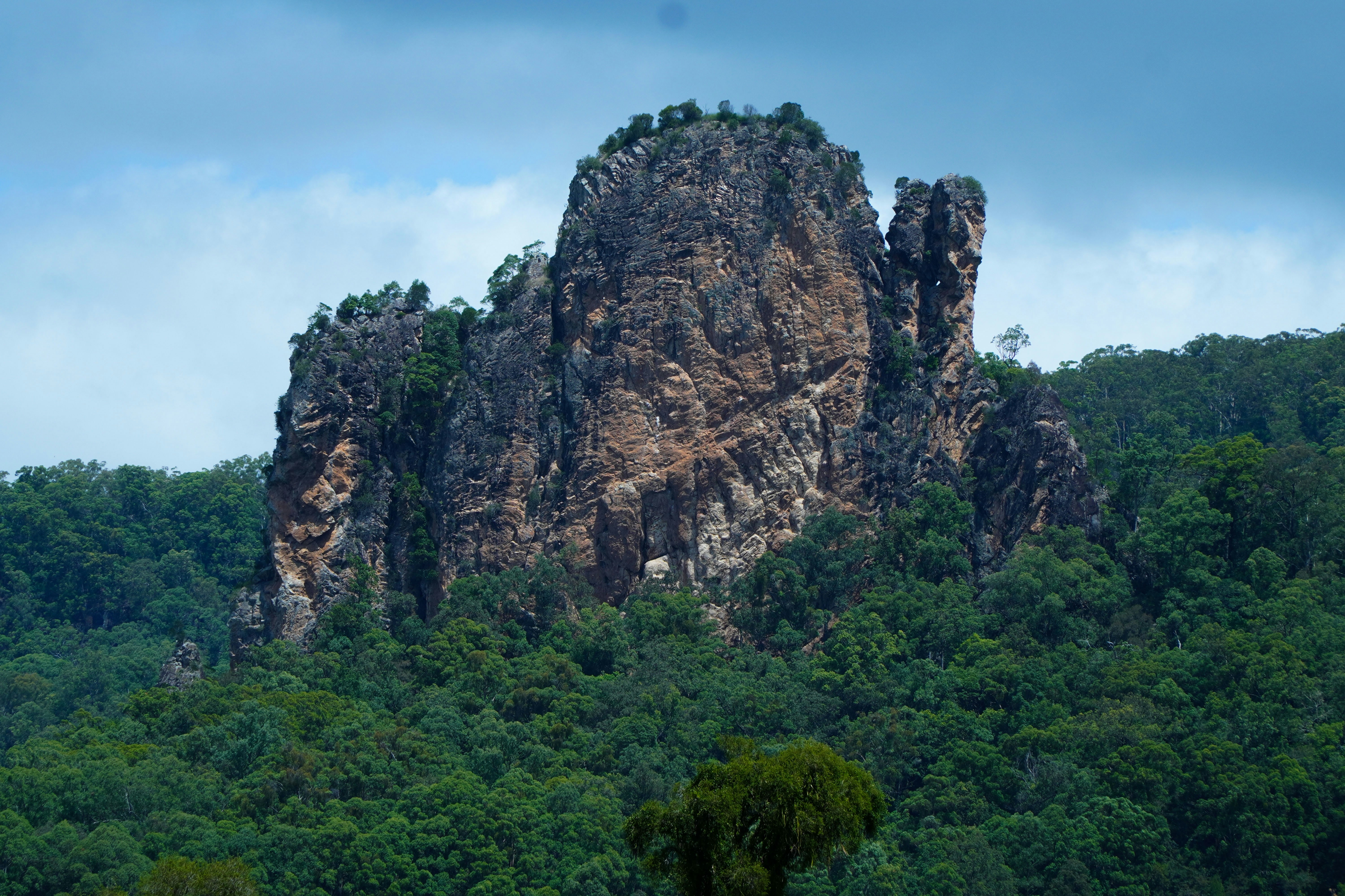 A large rock formation rises above a dense green forest.