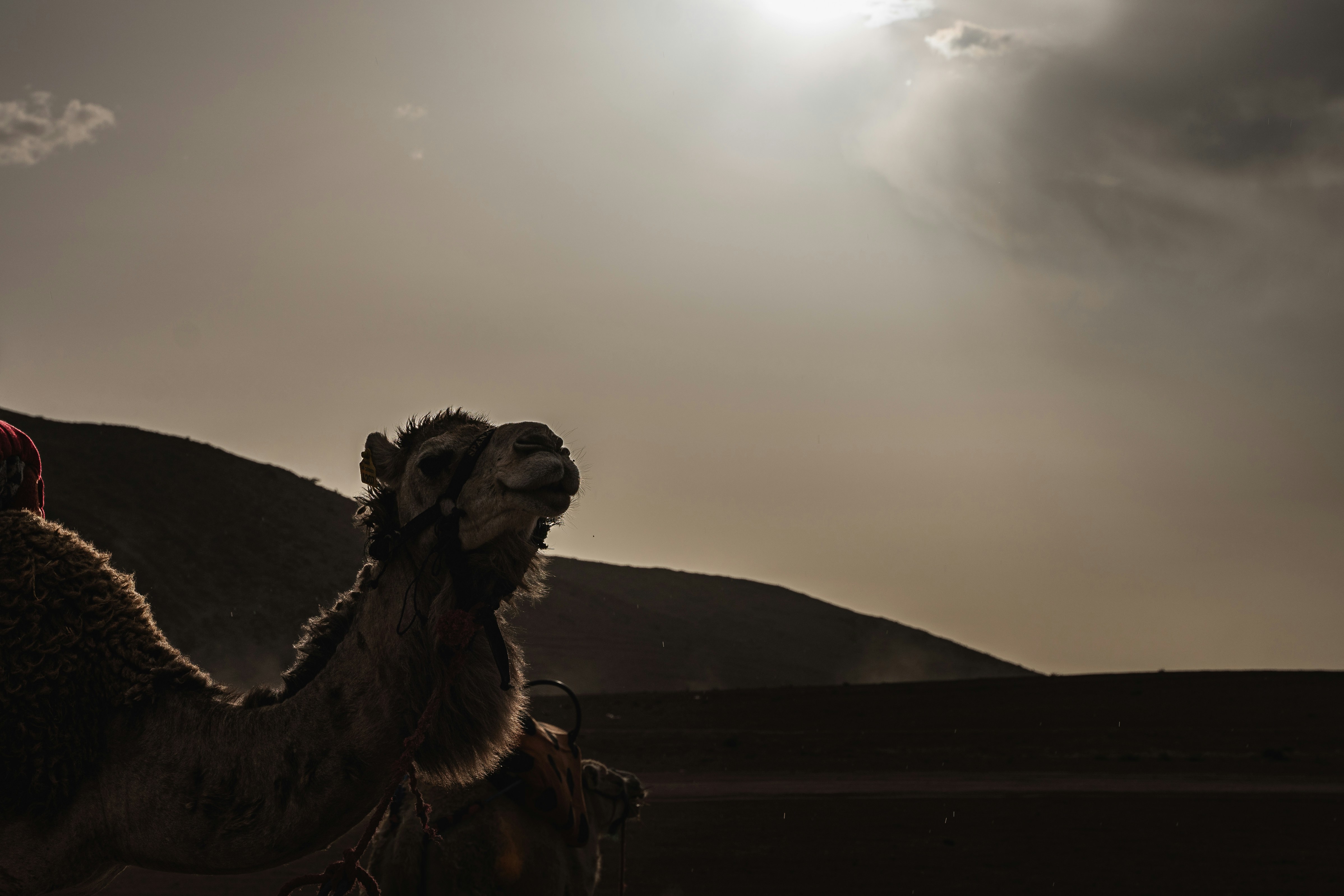 US holds interest rates as Iran war triggers inflation fears