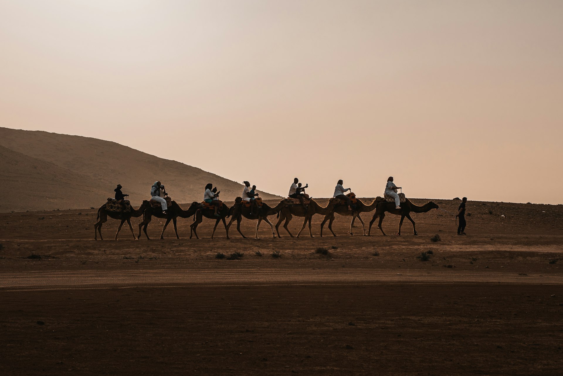 A caravan of camels travels across a desert landscape.