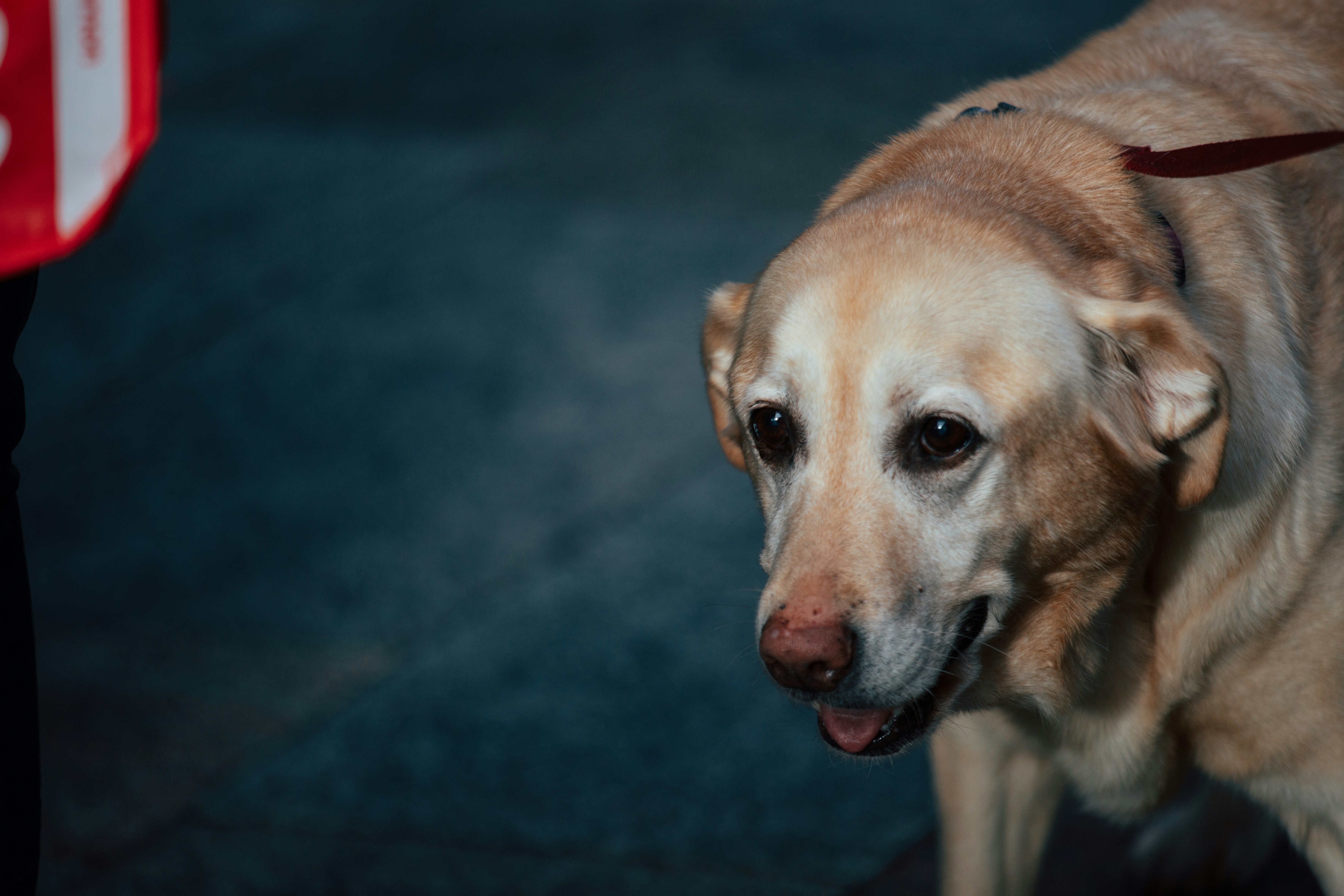 Photo by atelierbyvineeth