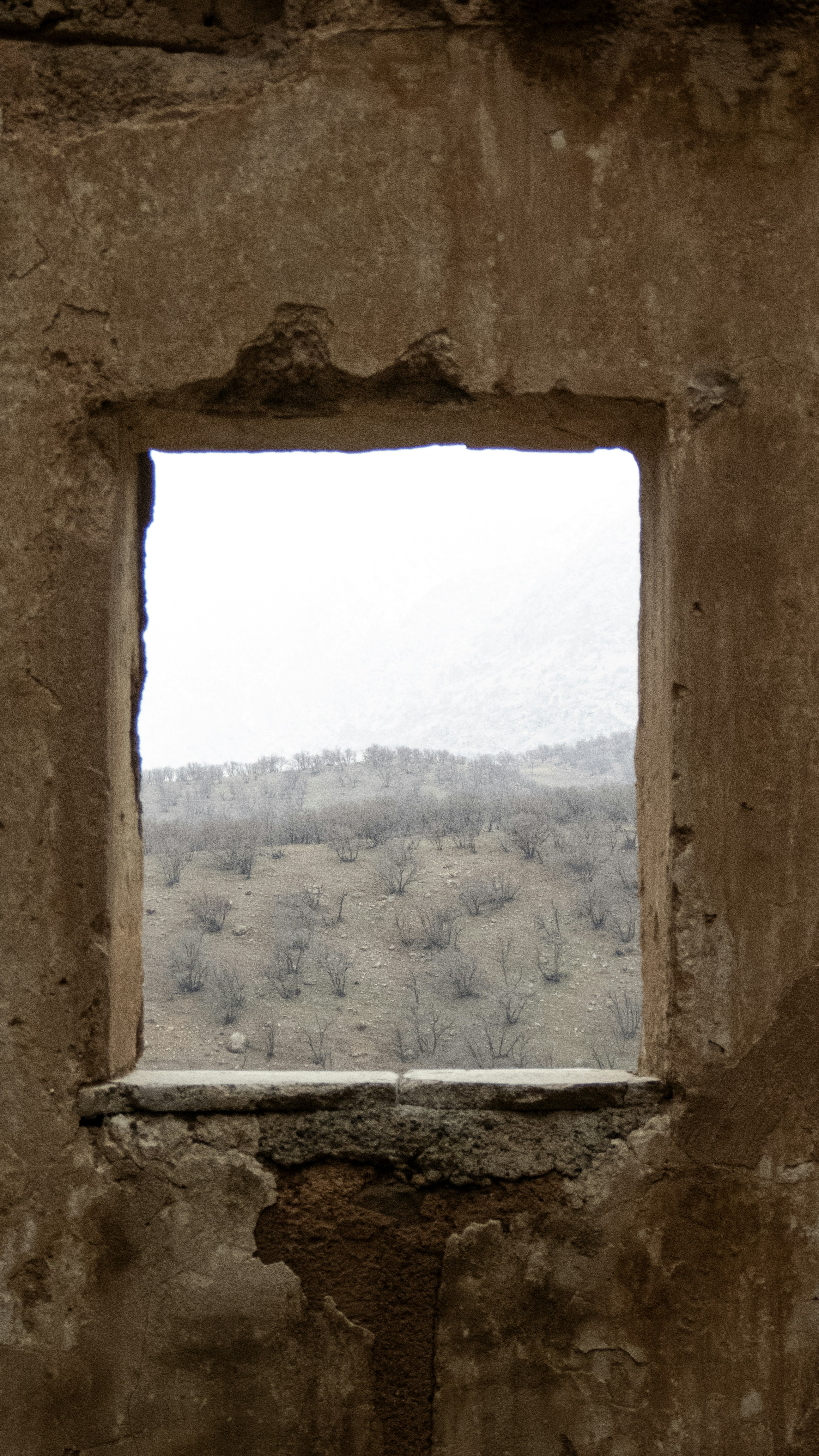 Photo by sinamoshtaghi