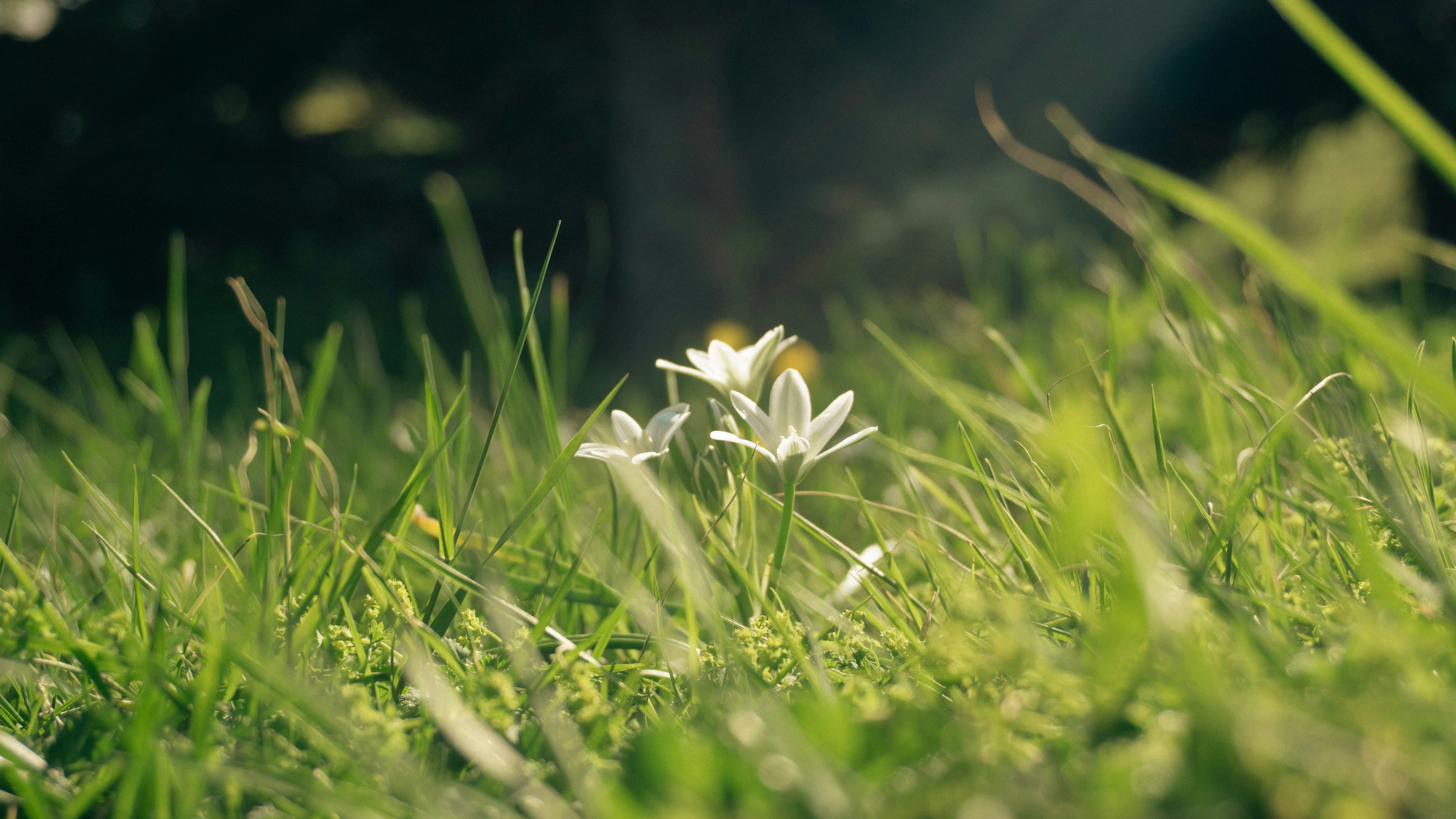 Photo by erdem_aydin