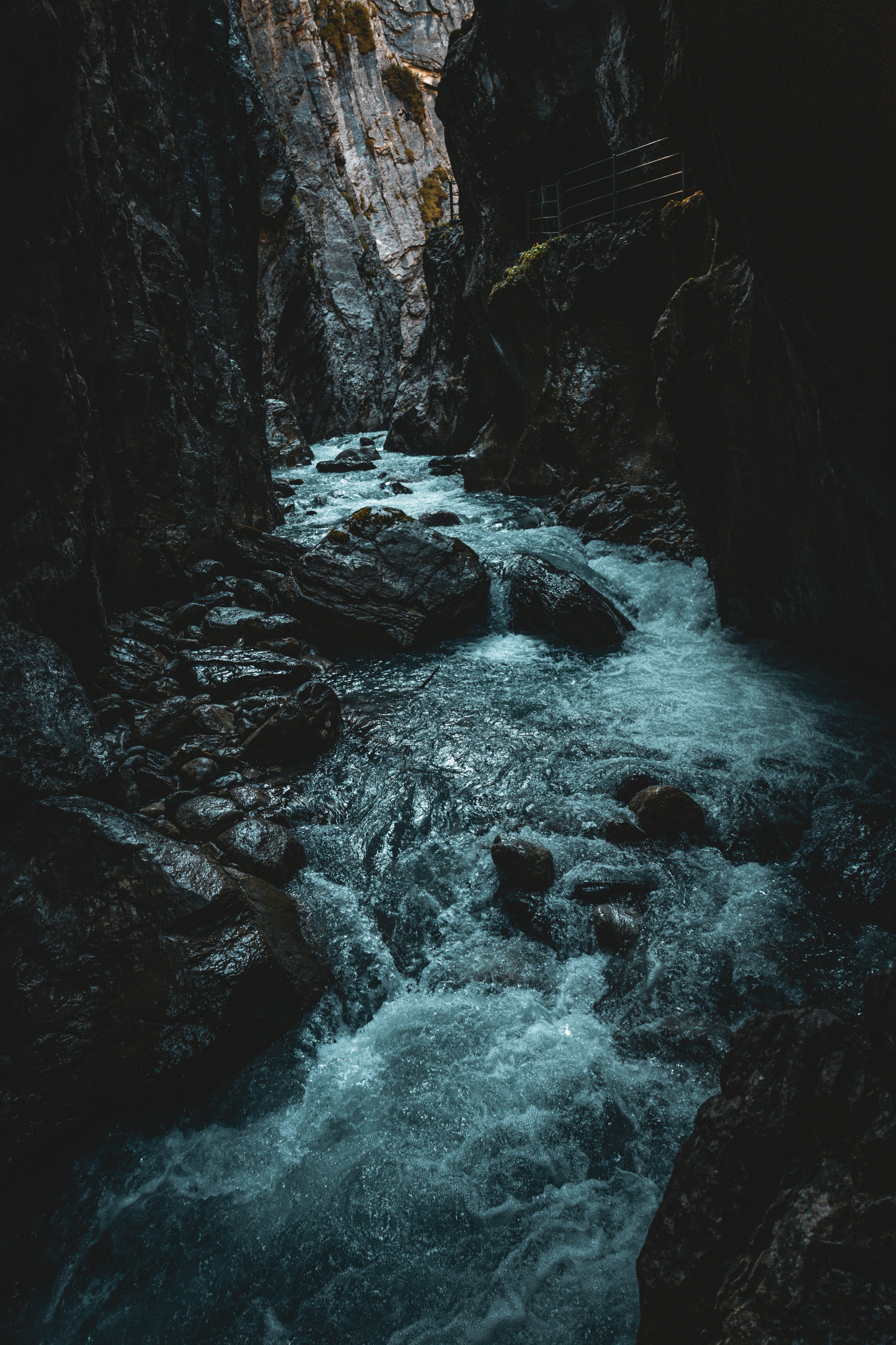 Photo by janis_photography