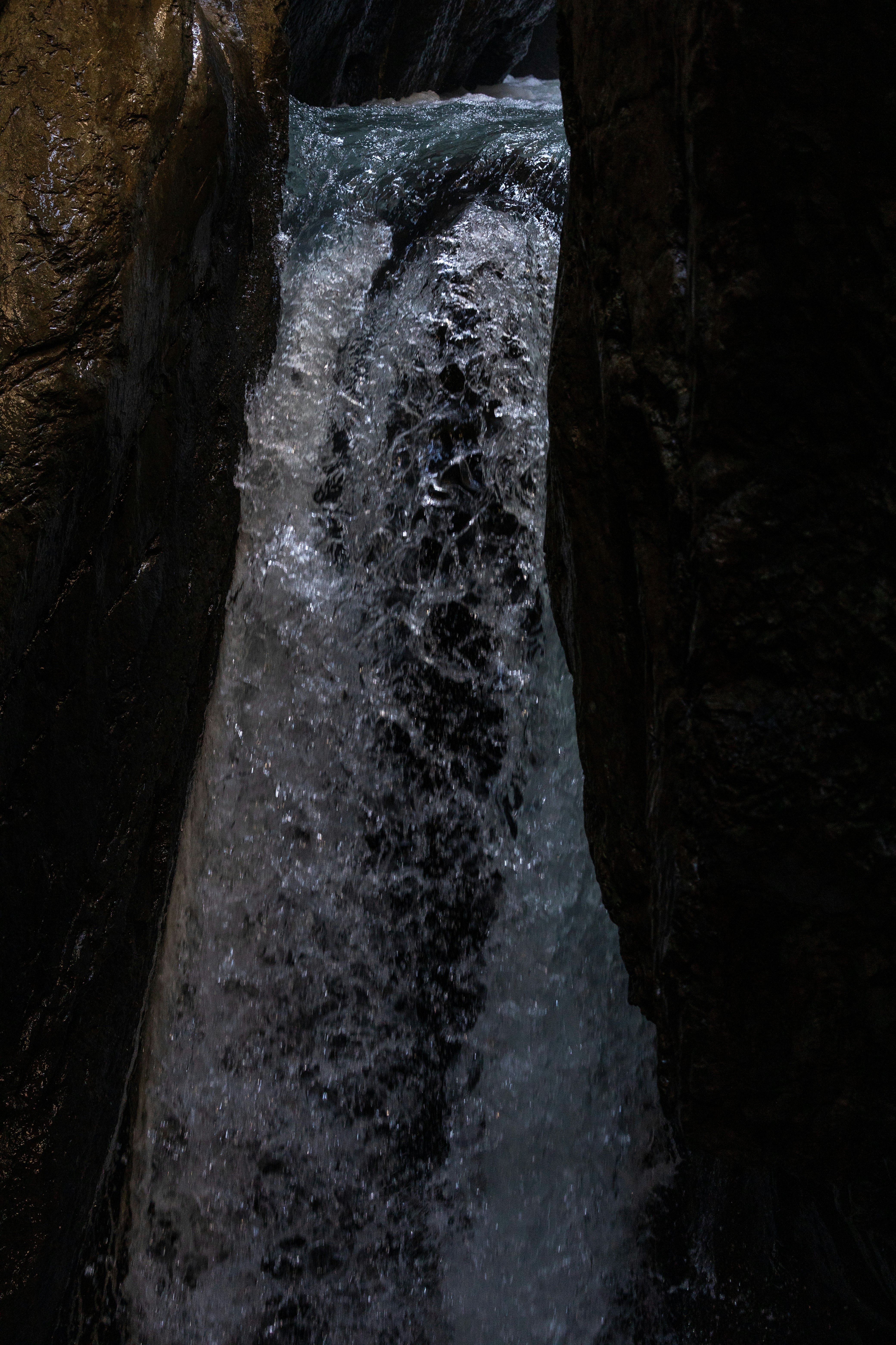 Photo by janis_photography