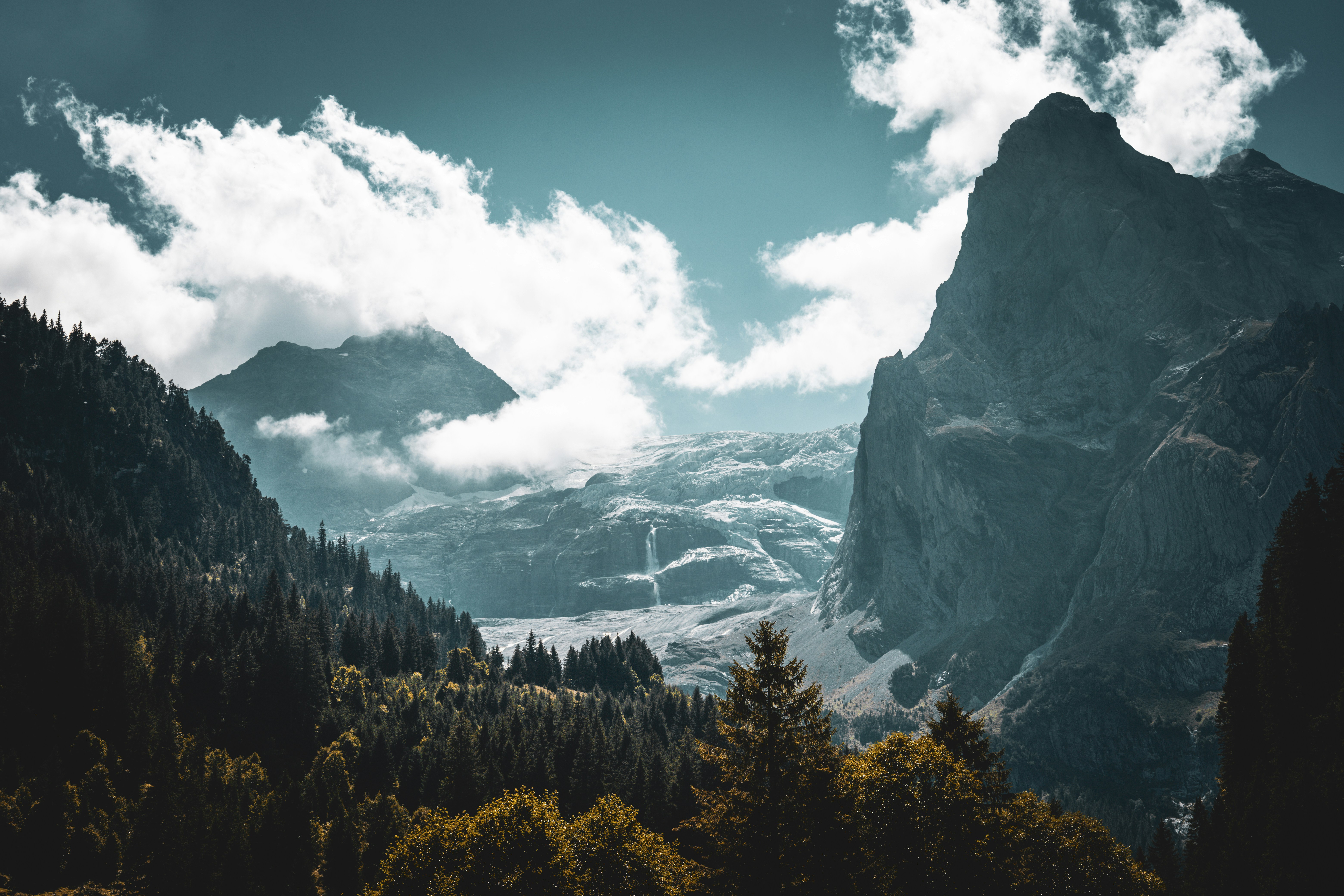 Photo by janis_photography