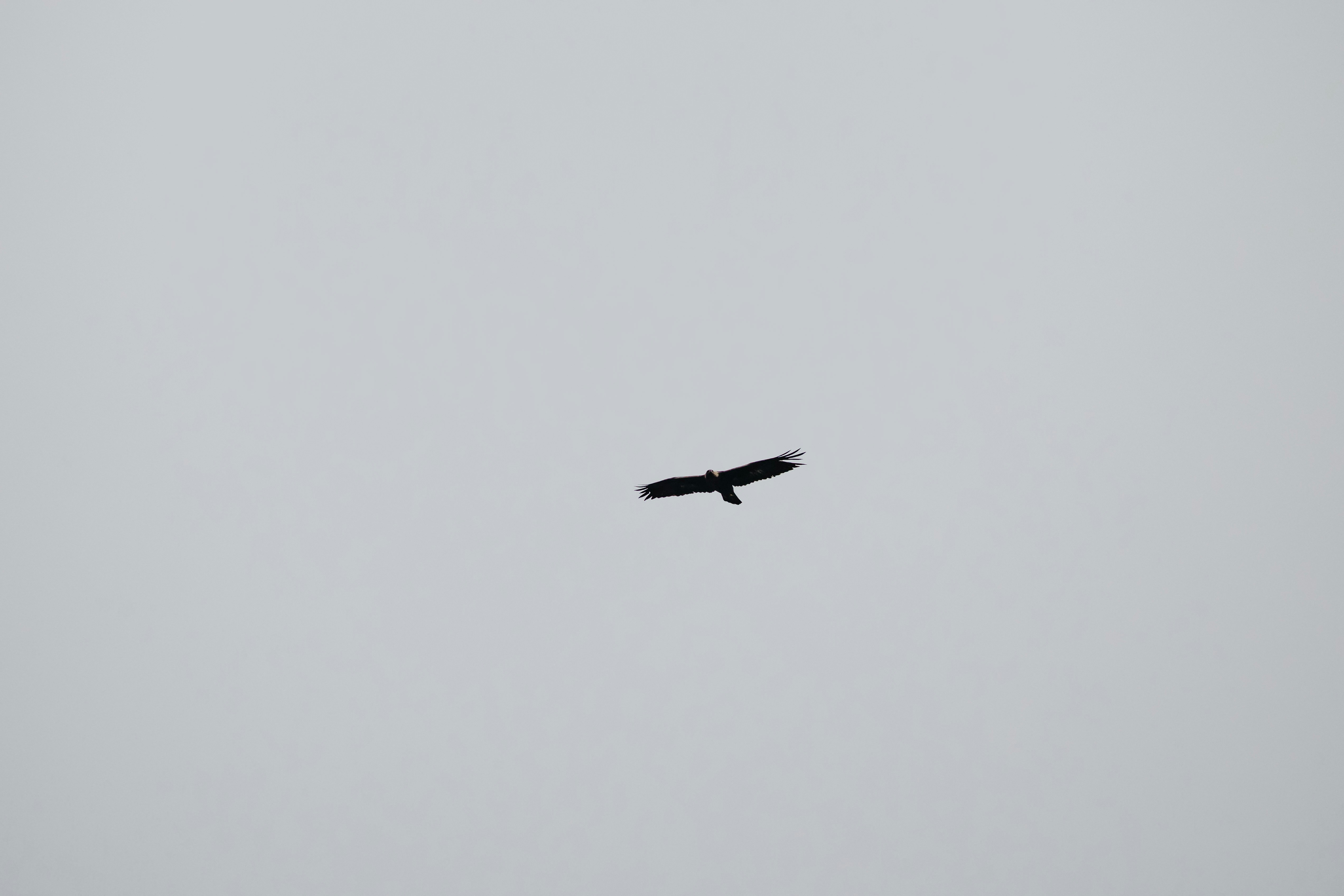 Photo by janis_photography