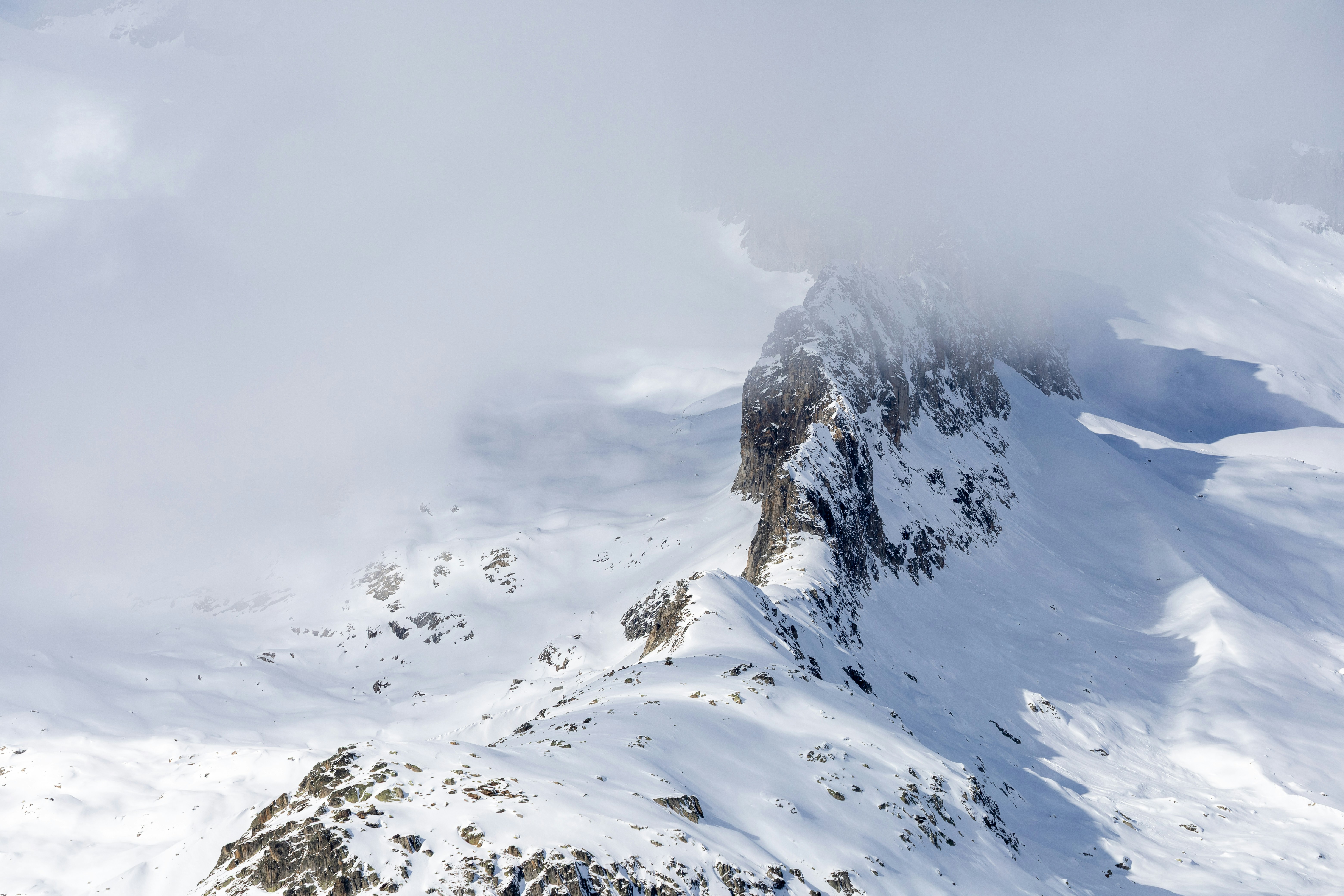 Photo by janis_photography