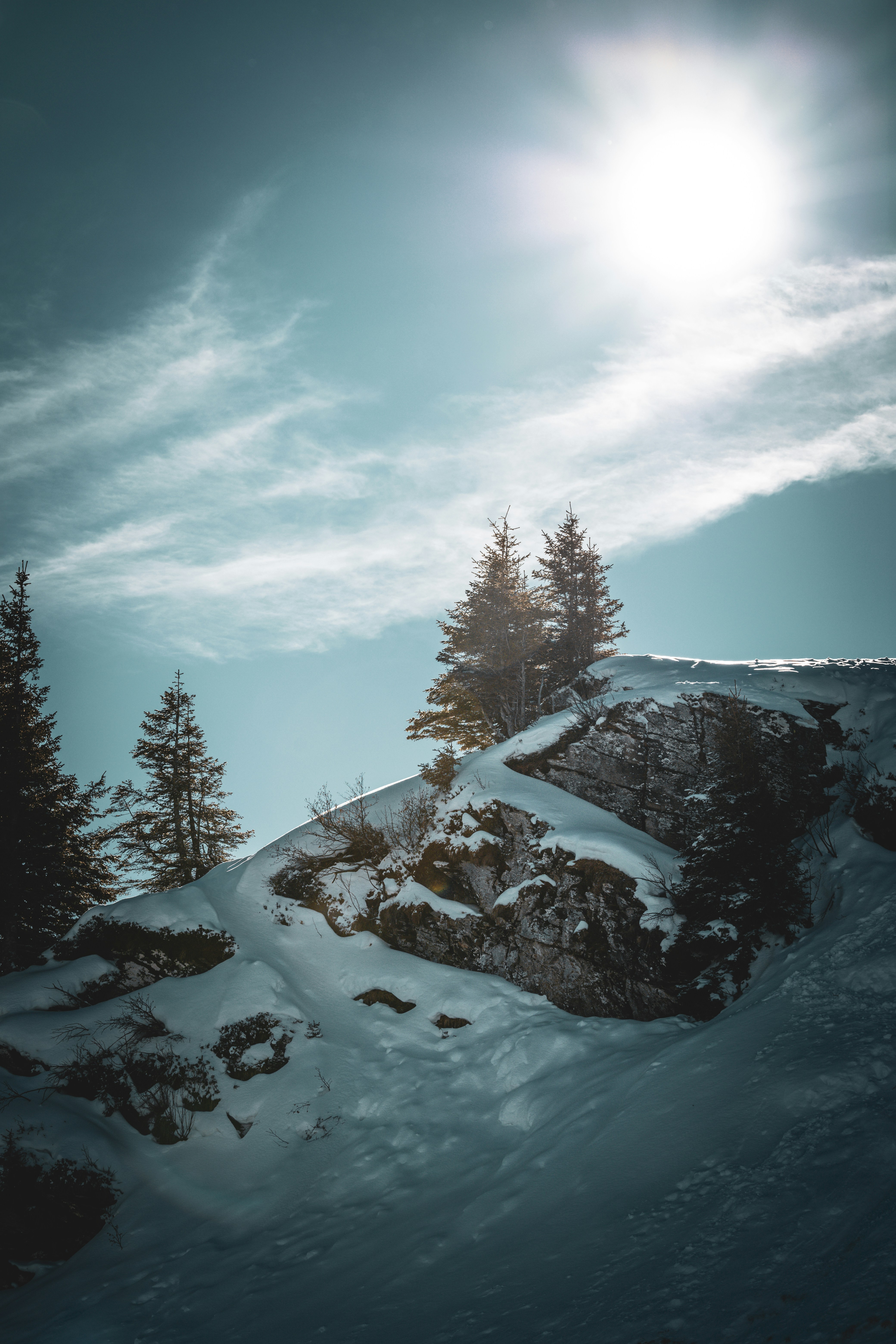 Photo by janis_photography