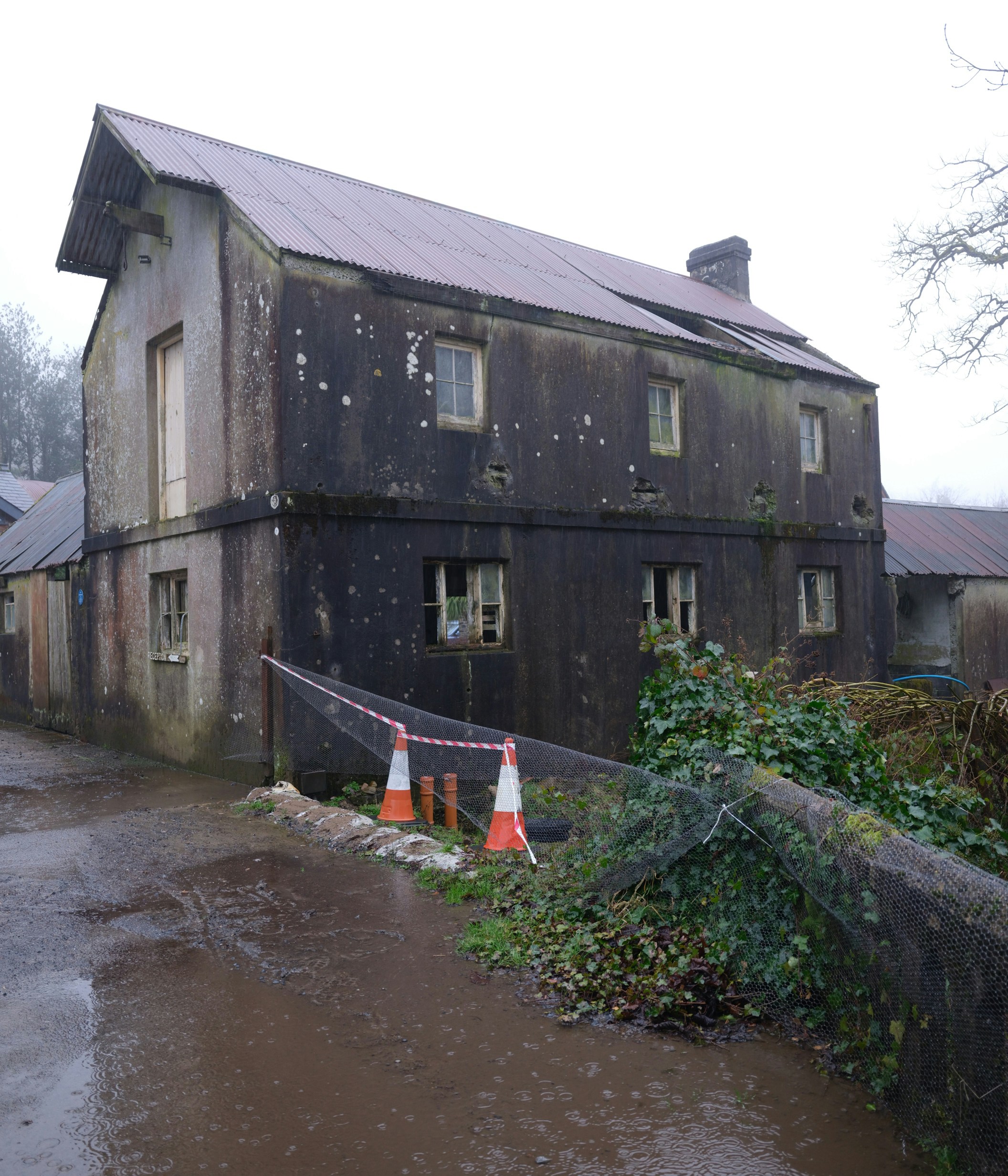 Photo by tanyabarrow