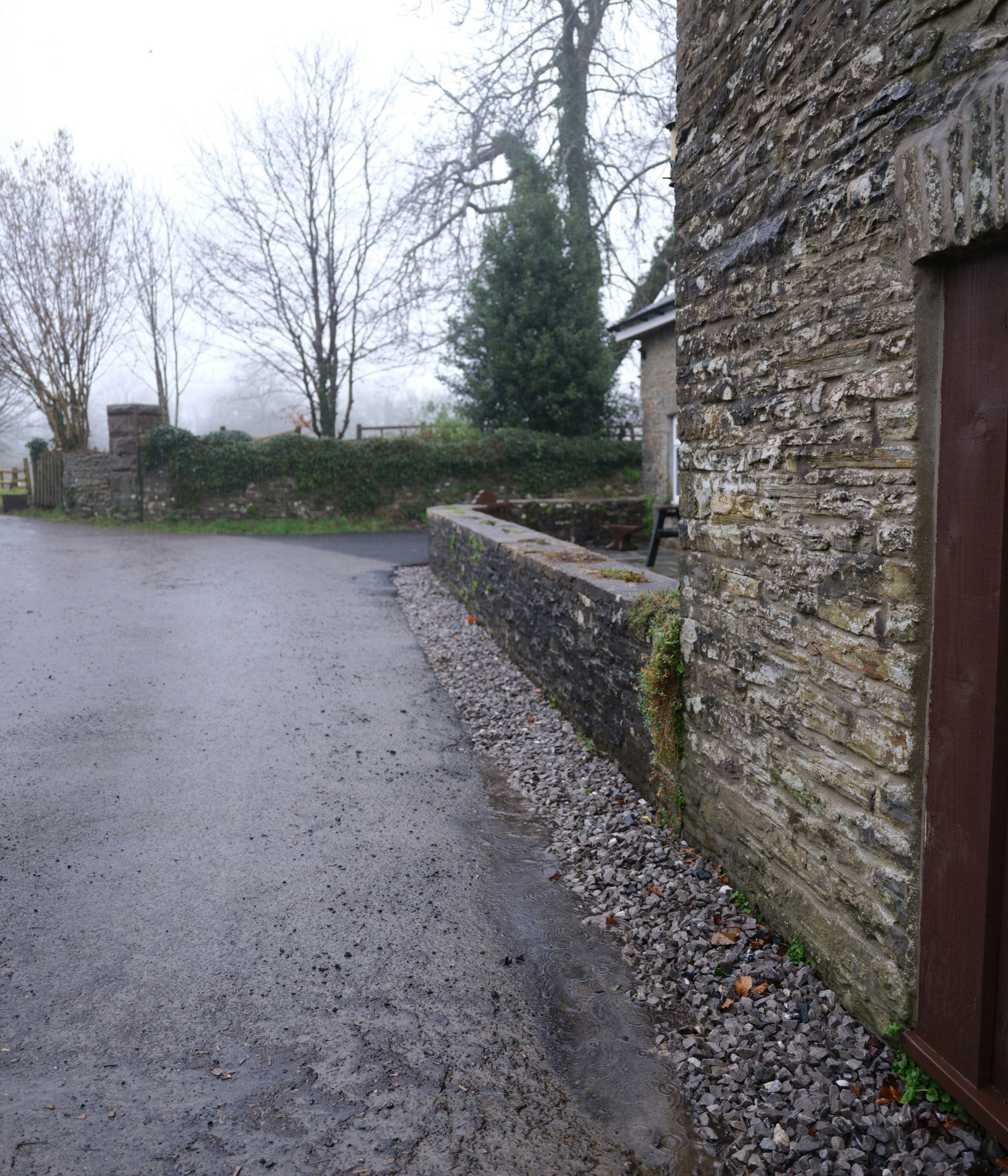 Photo by tanyabarrow