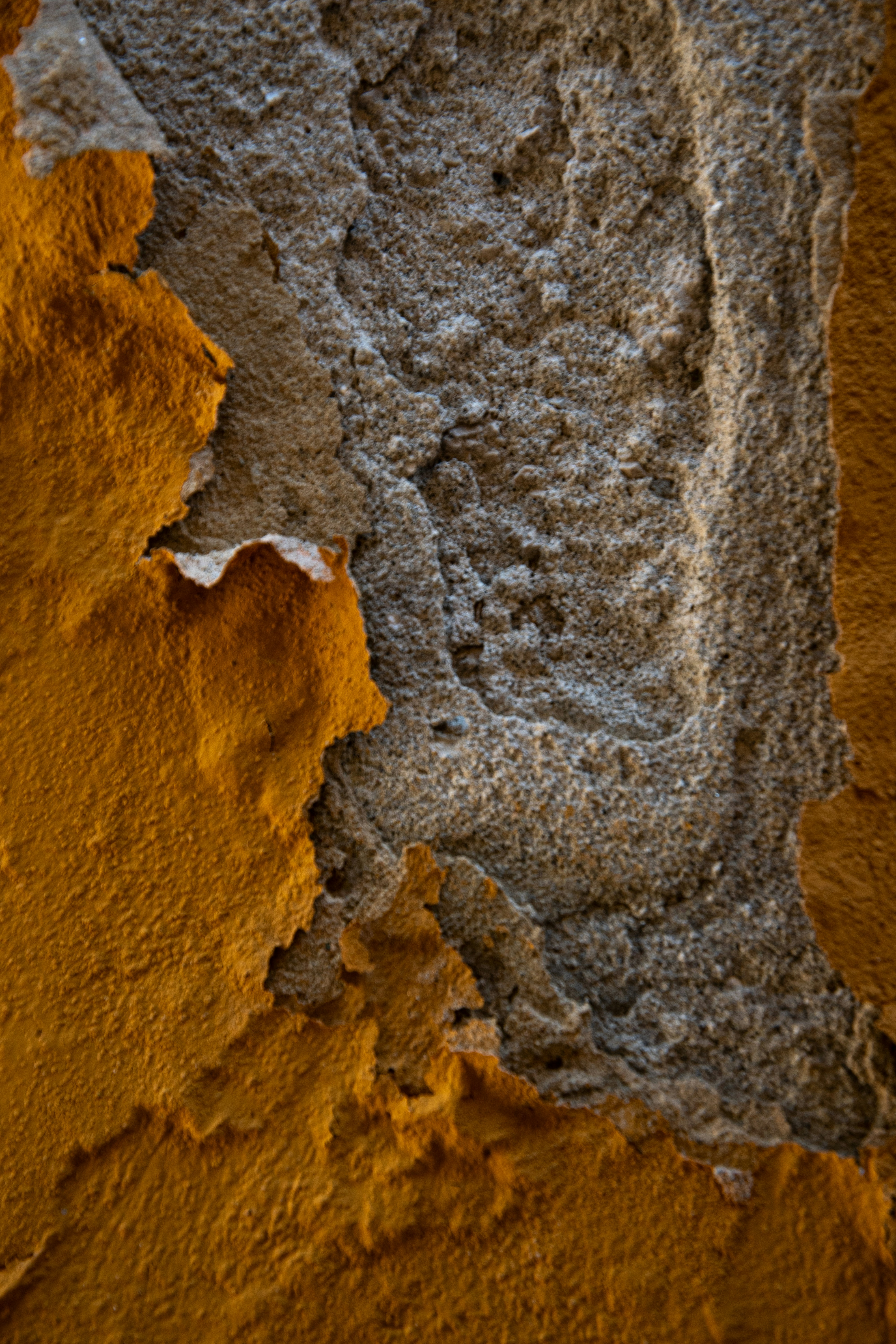 Photo by vjeblackbirdlion