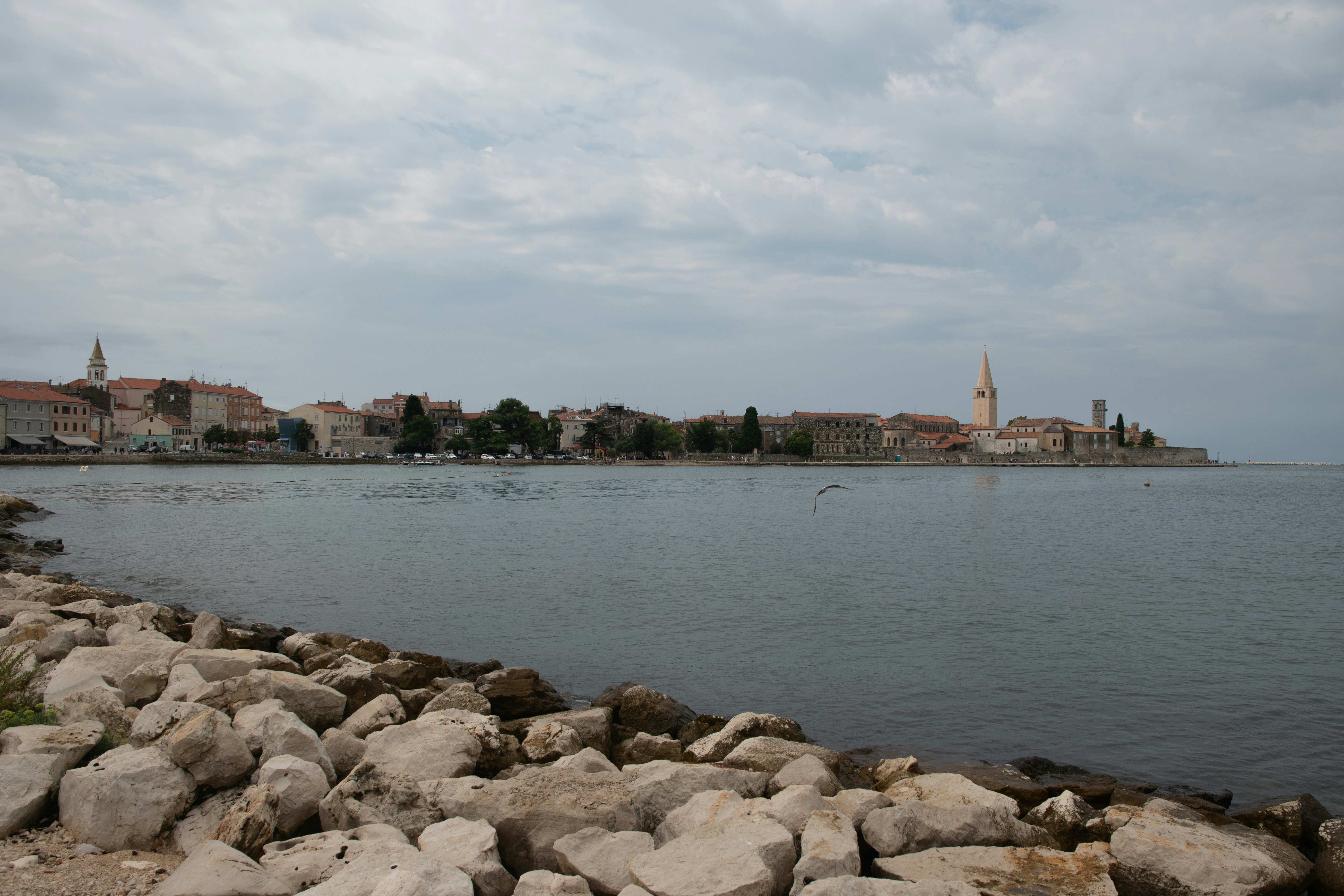 Photo by vjeblackbirdlion