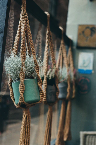 Three potted plants hang in macrame holders.