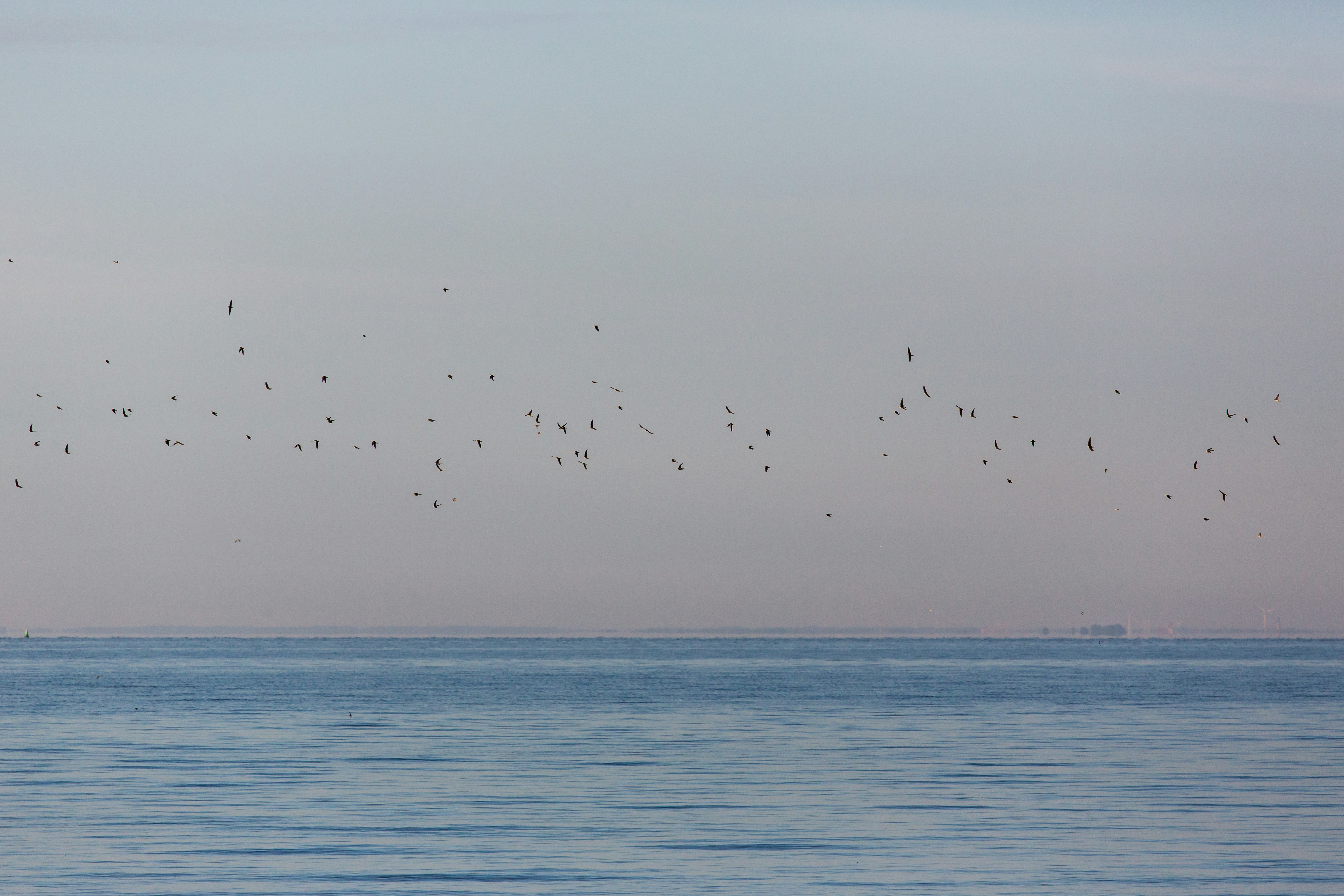 Photo by jastorfproductions