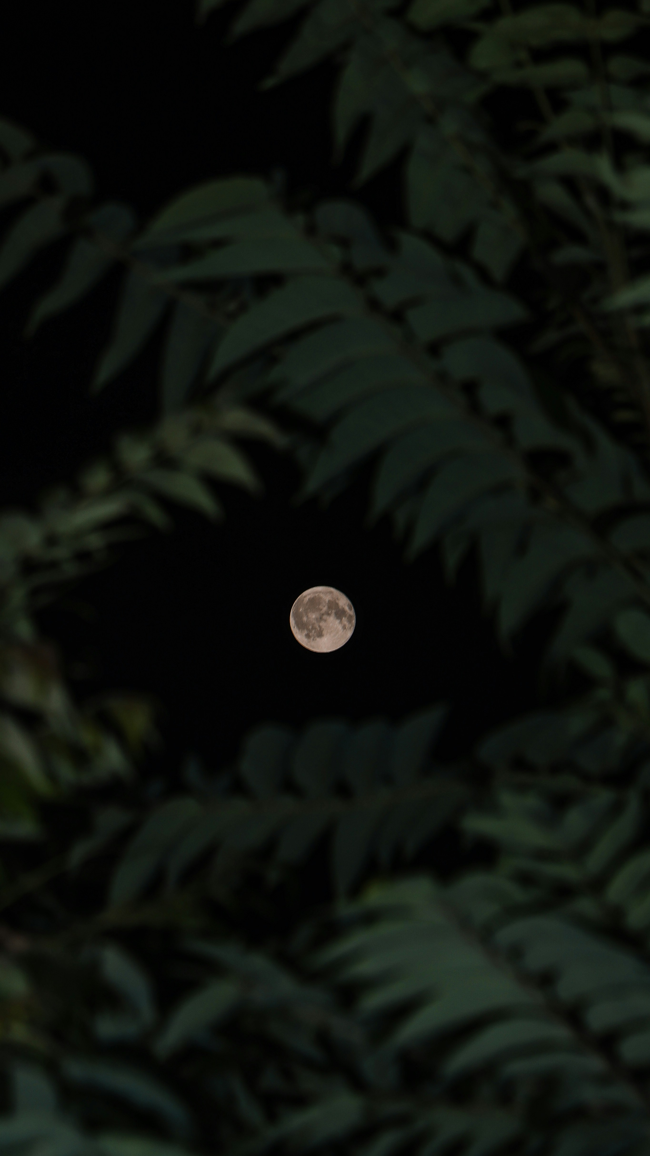 Photo by haim_charbit18