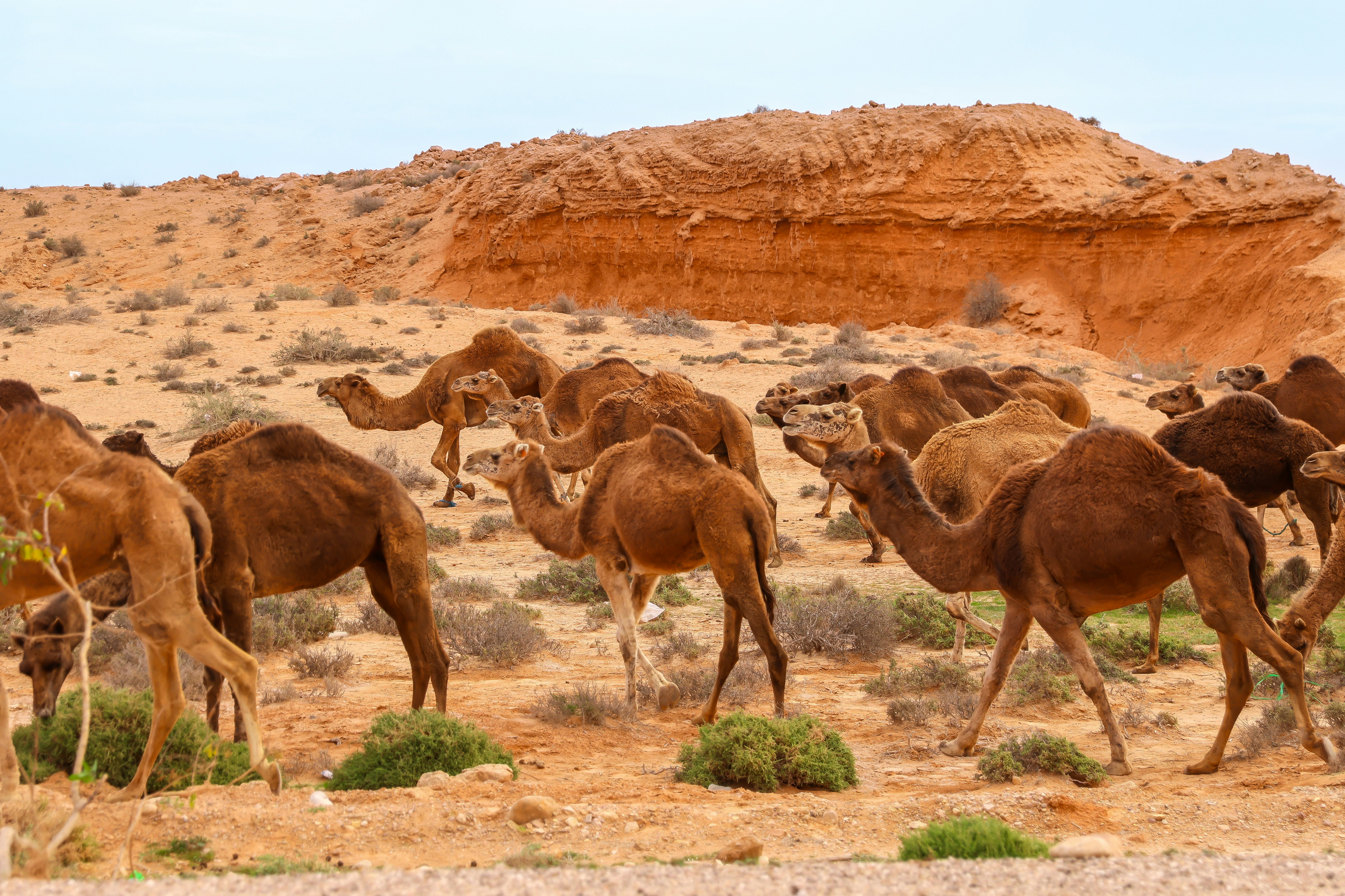 Photo by haim_charbit18