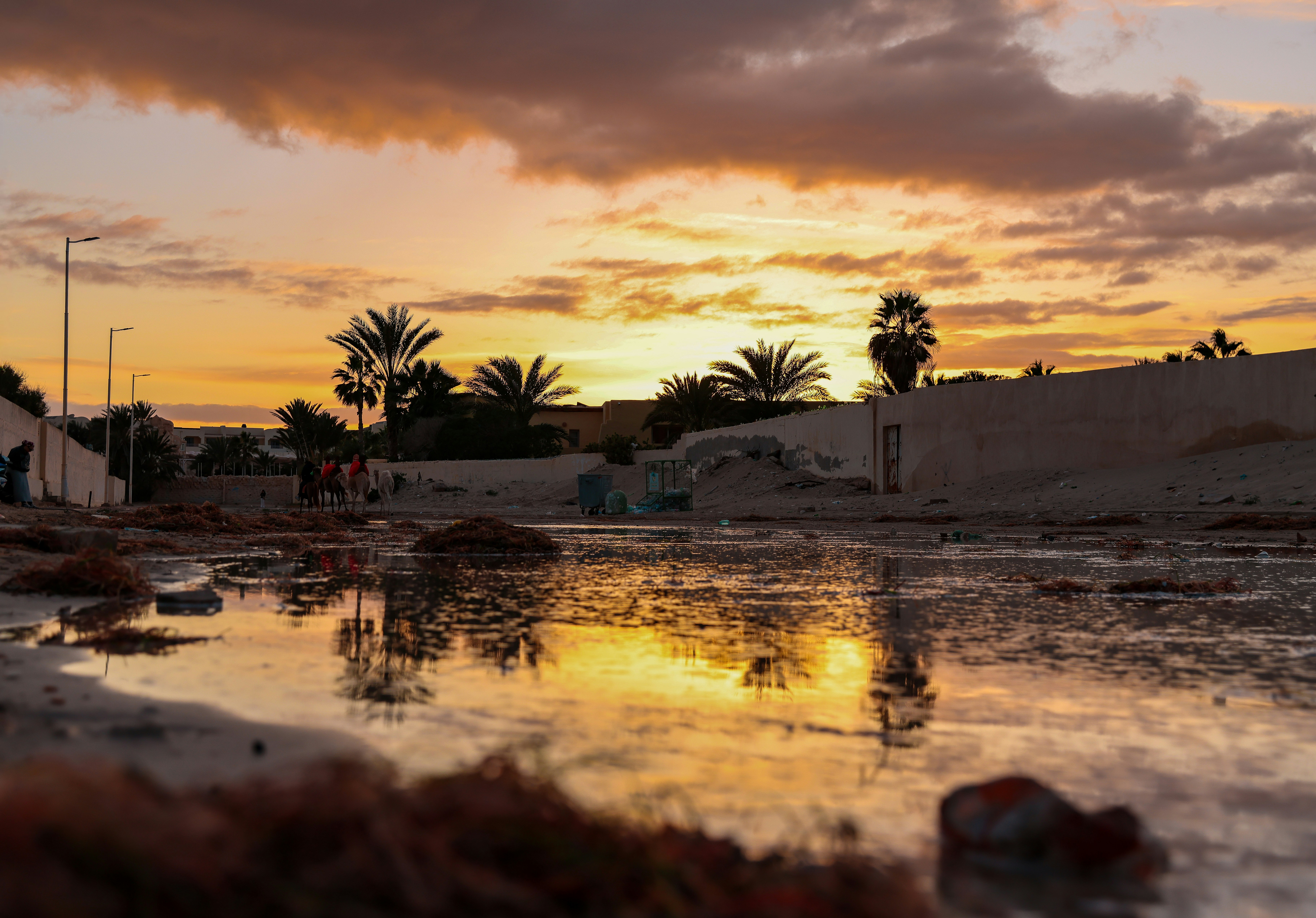 Expat Guide to Living in Gombe (2026)