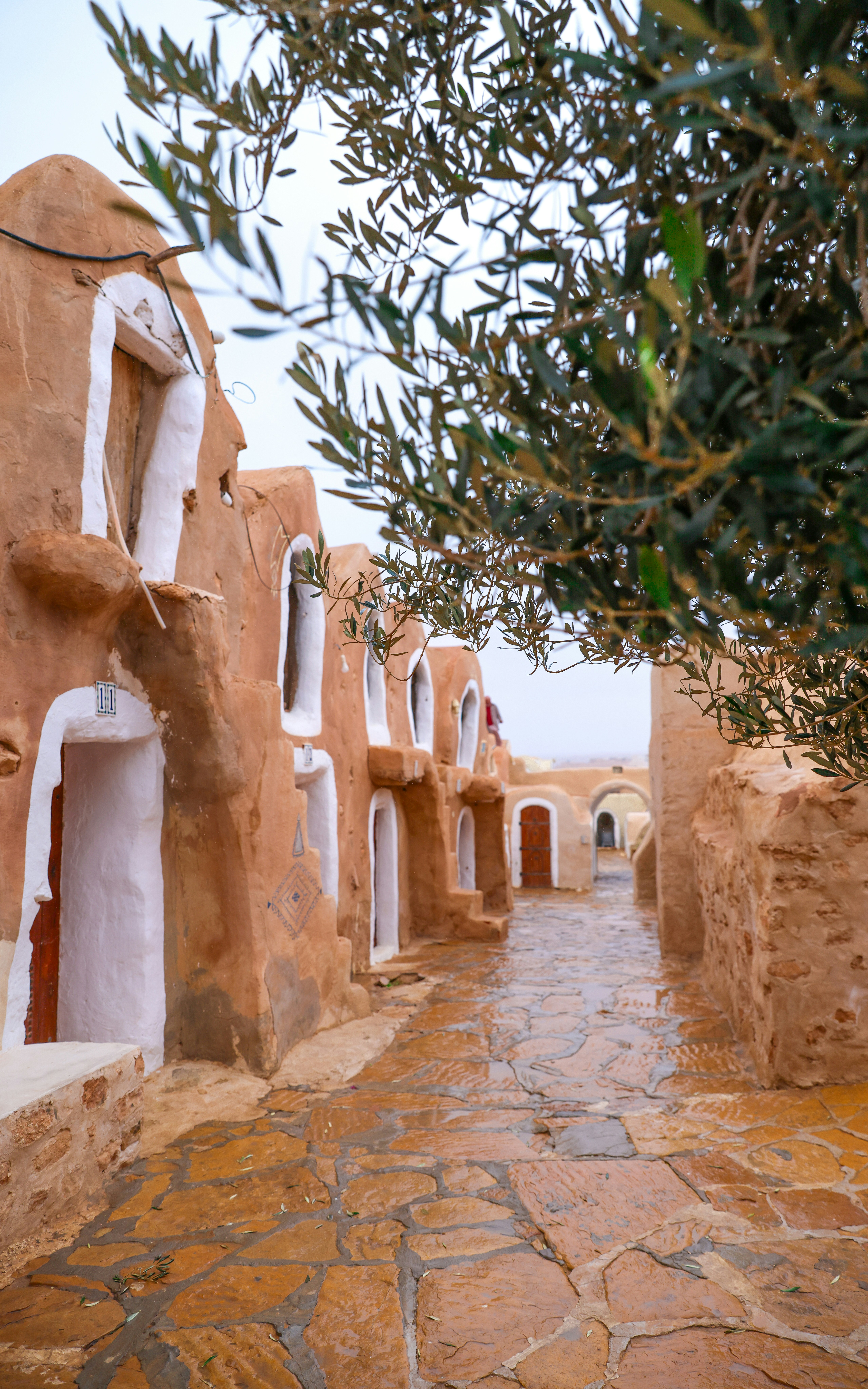 Photo by haim_charbit18