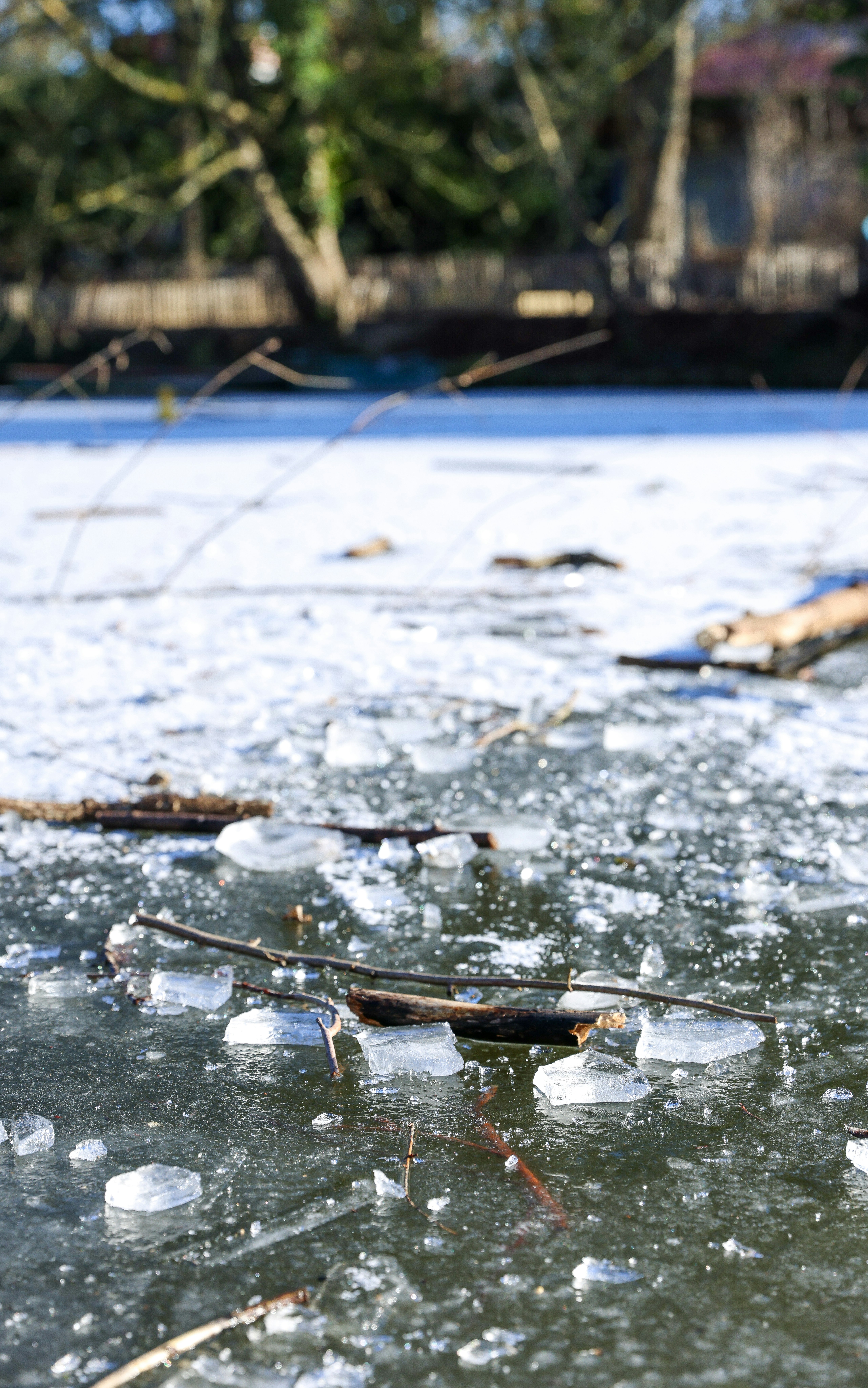 Eis und Sticks auf einem gefrorenen Gewässer.