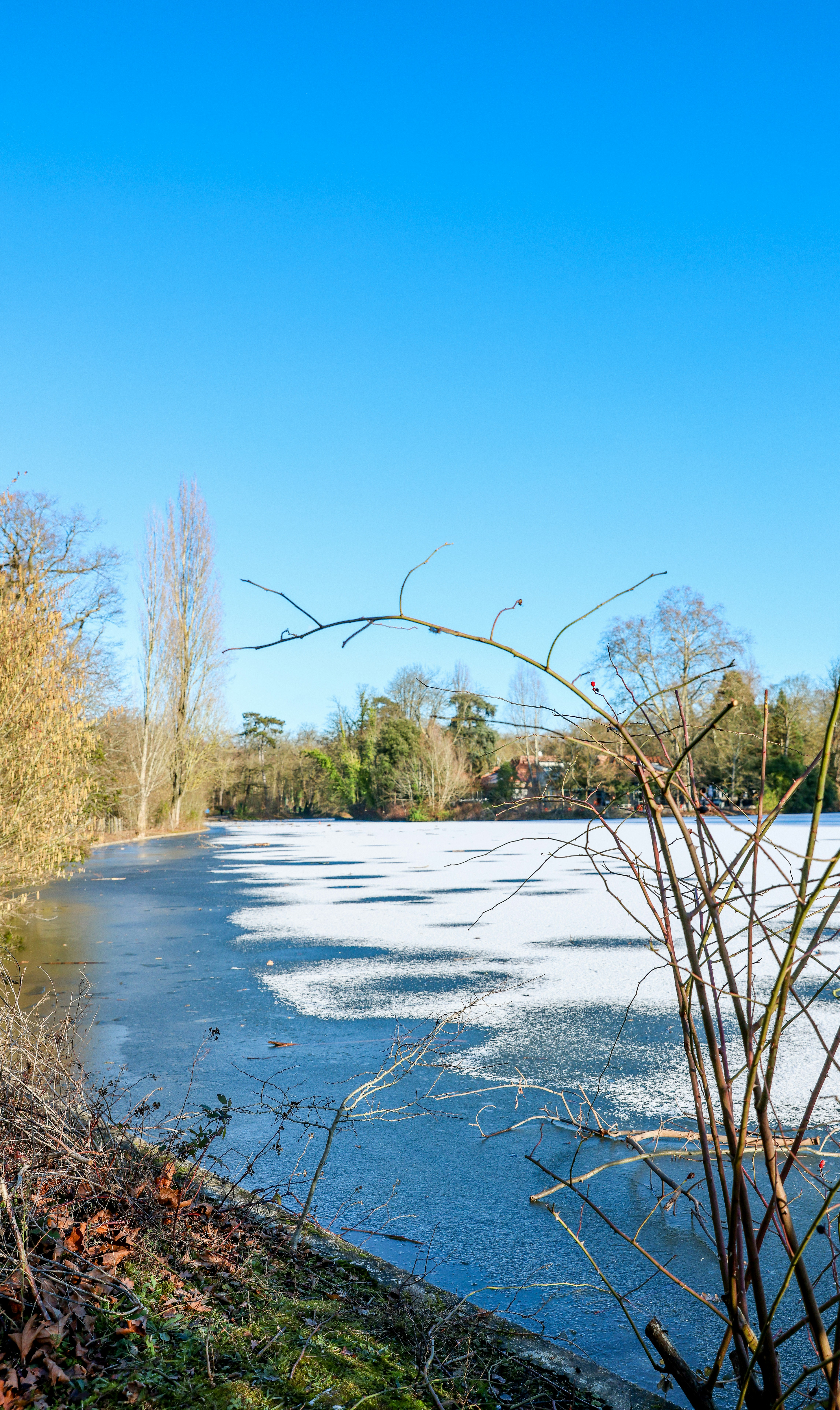 Photo by haim_charbit18