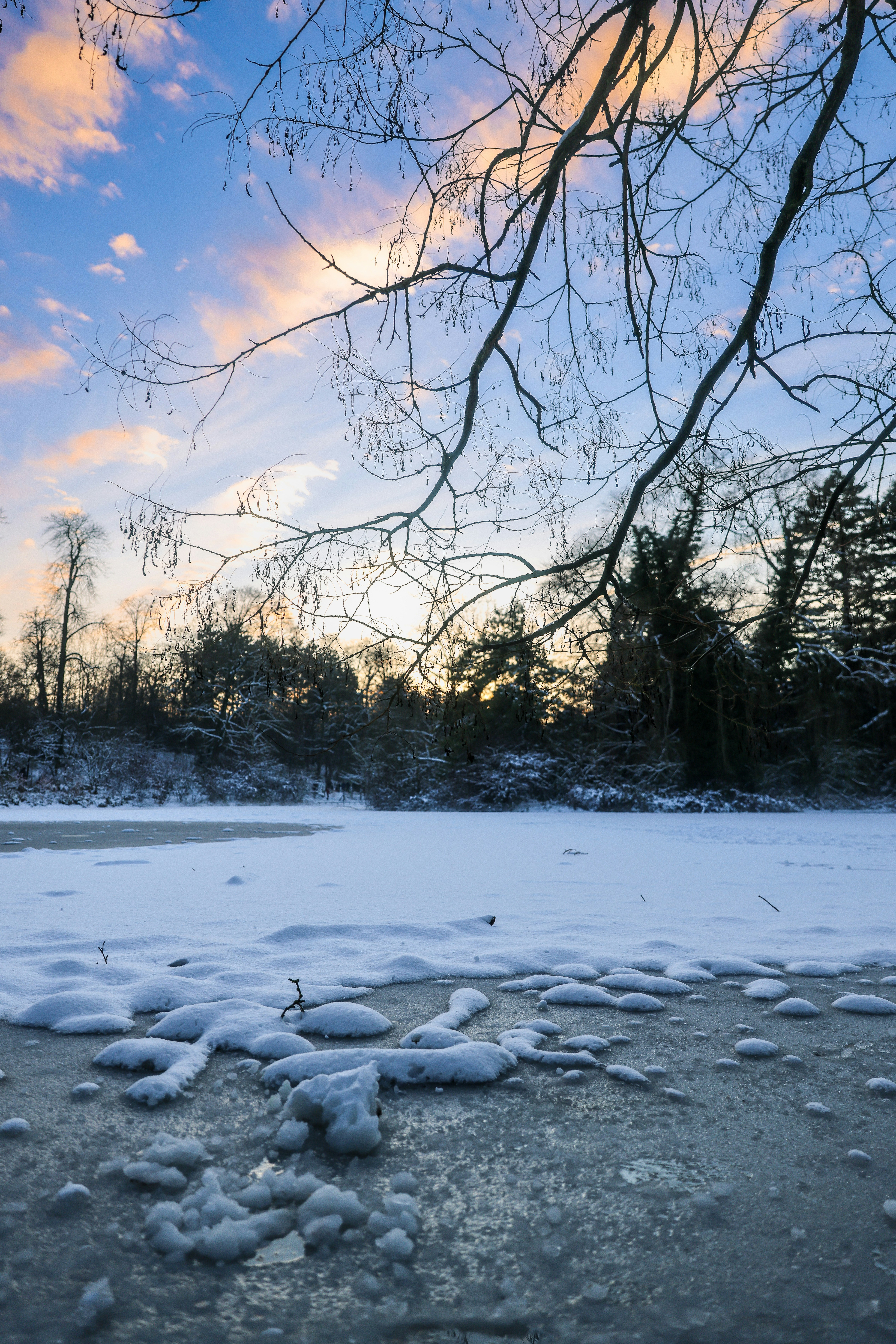 Photo by haim_charbit18