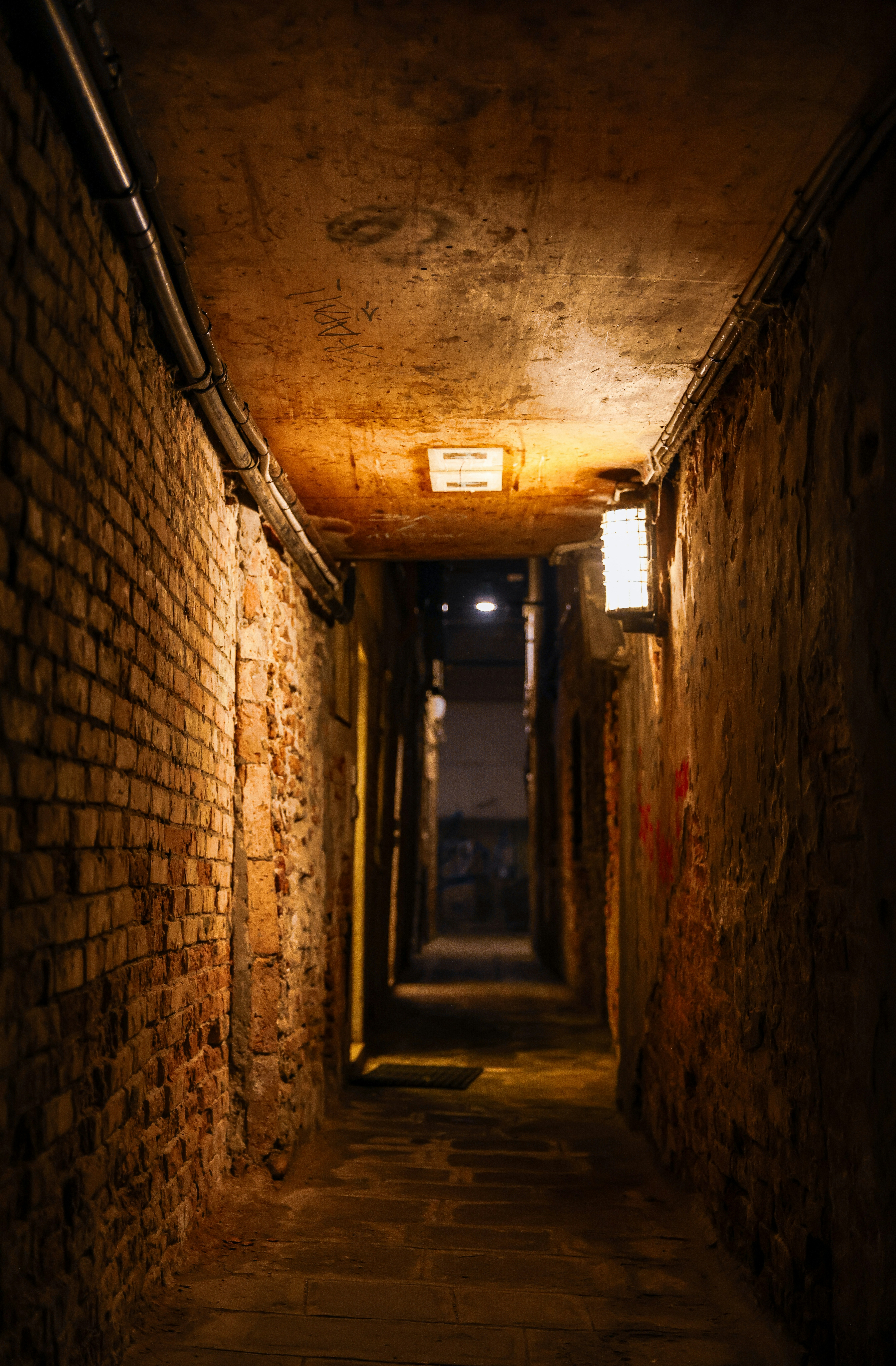 Photo by haim_charbit18