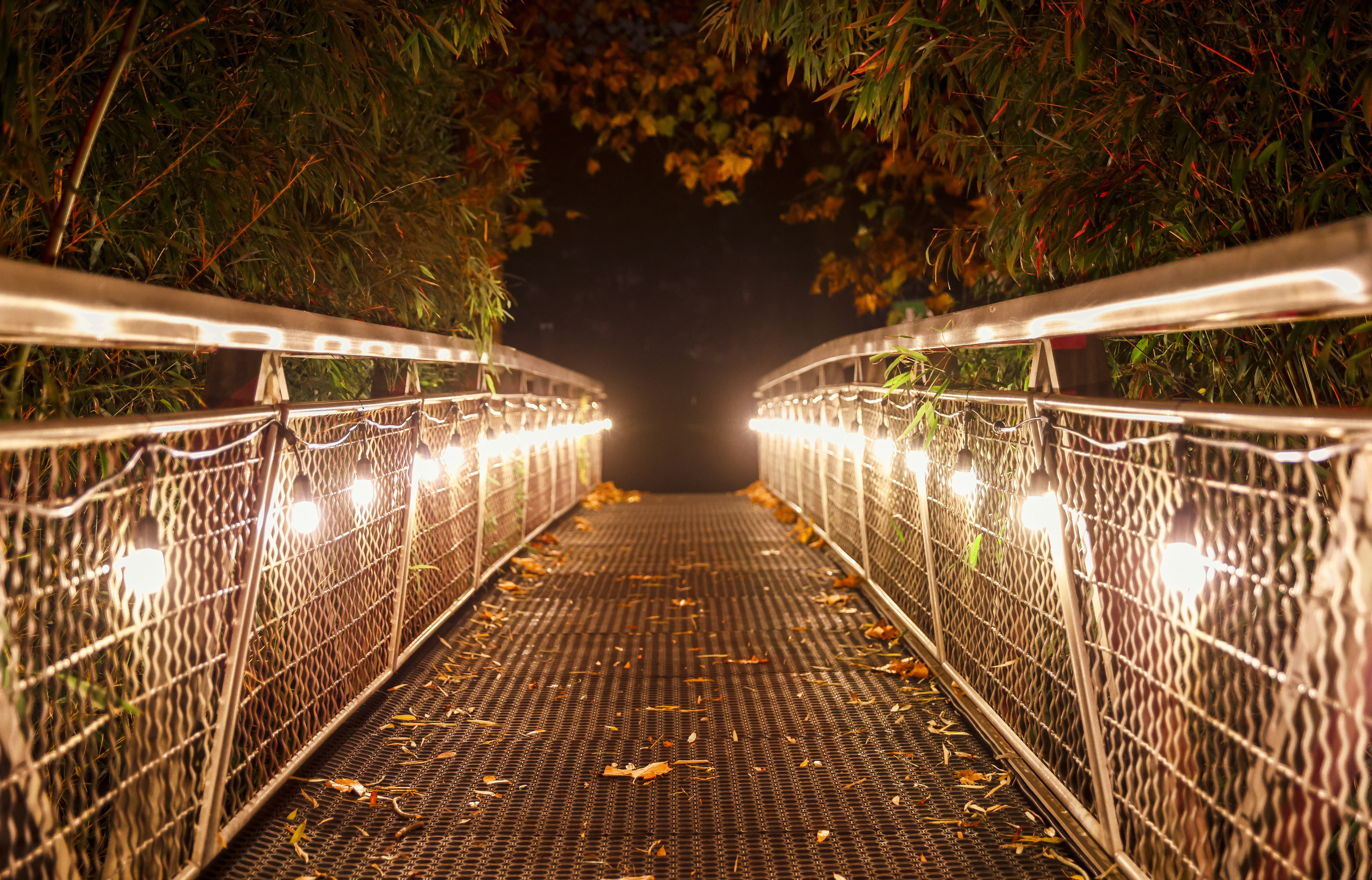 밤에 줄등으로 밝혀진 다리