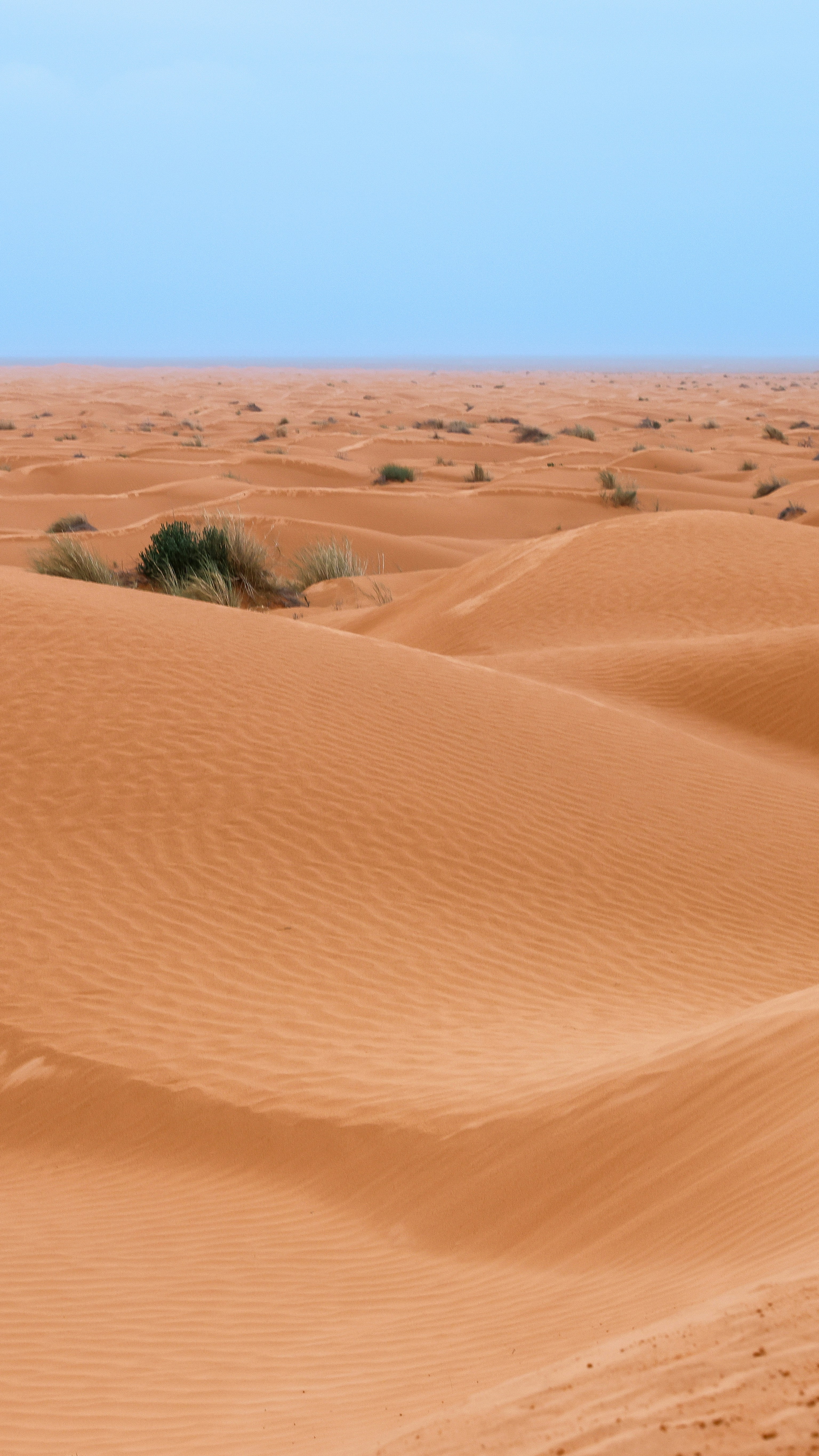 Photo by haim_charbit18