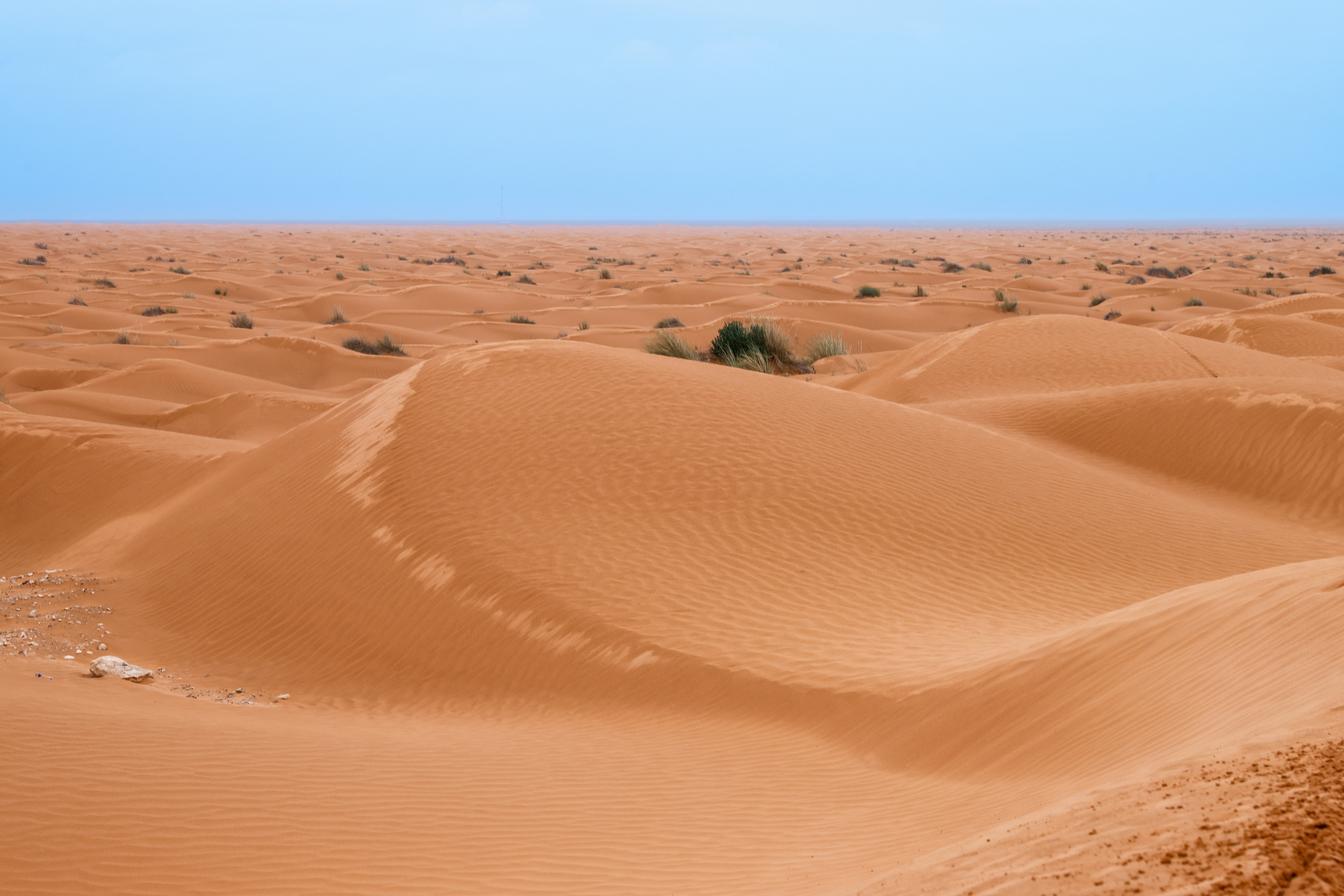 Photo by haim_charbit18