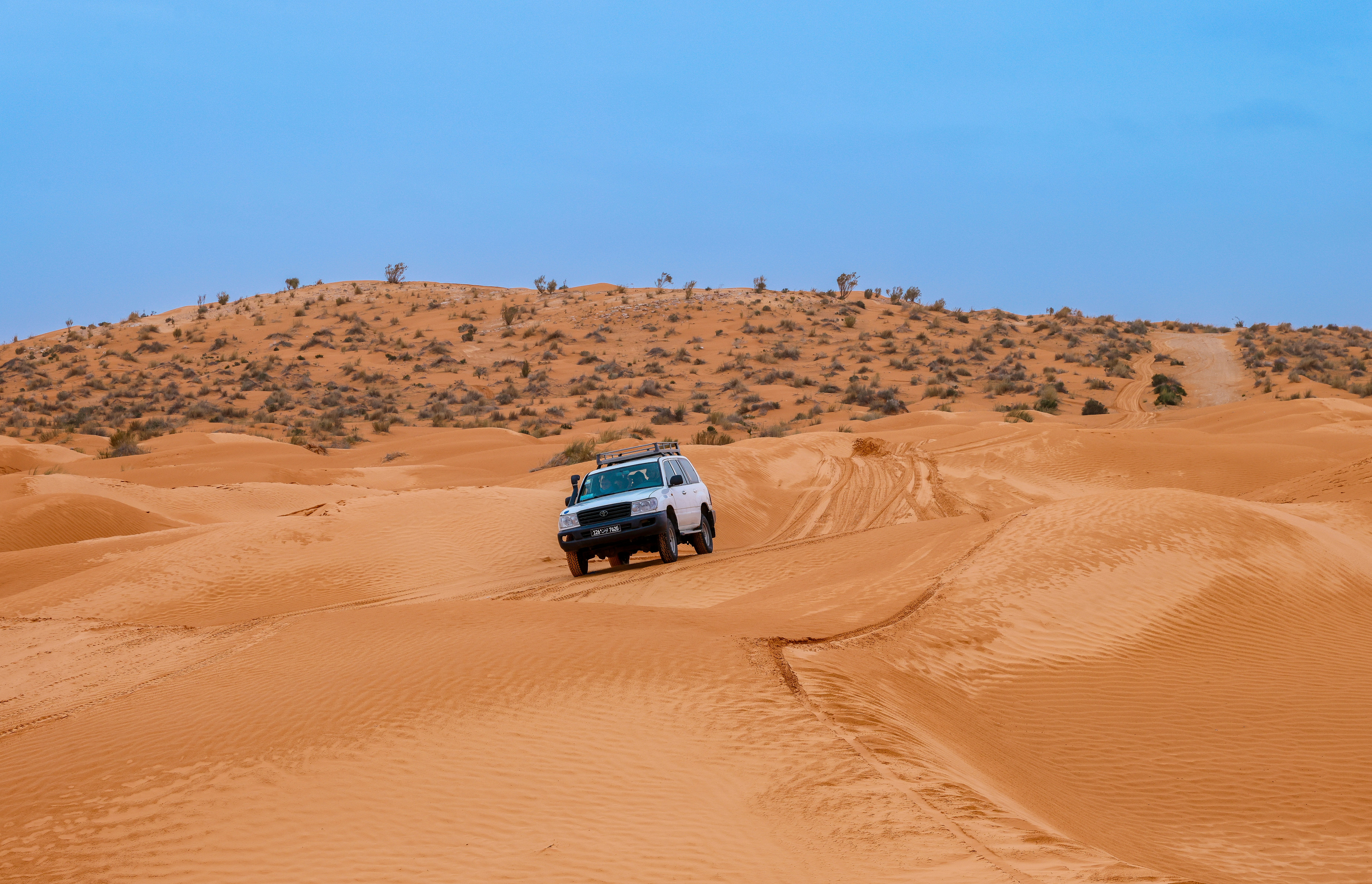 Photo by haim_charbit18