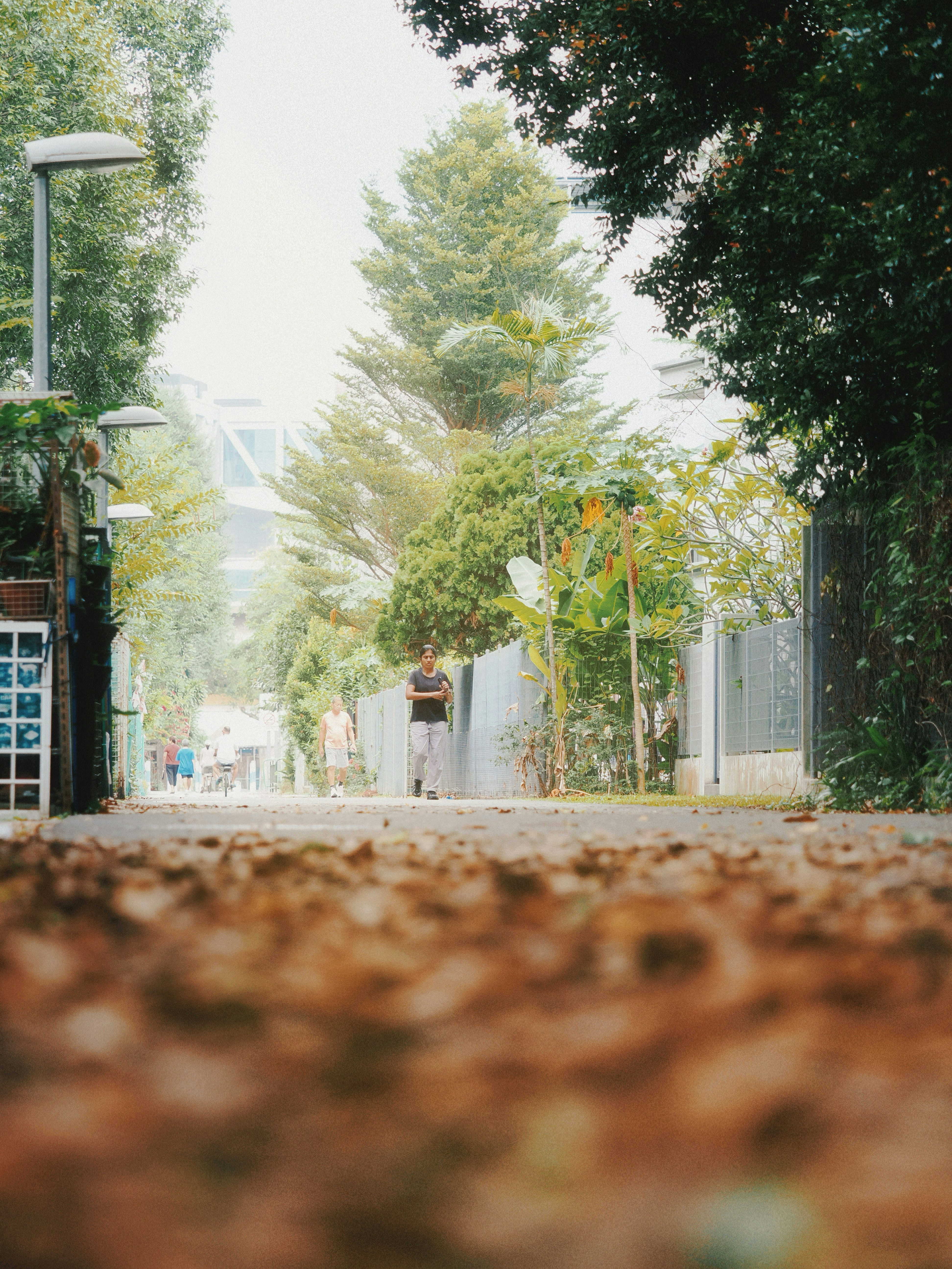 Photo by liliantruong2603