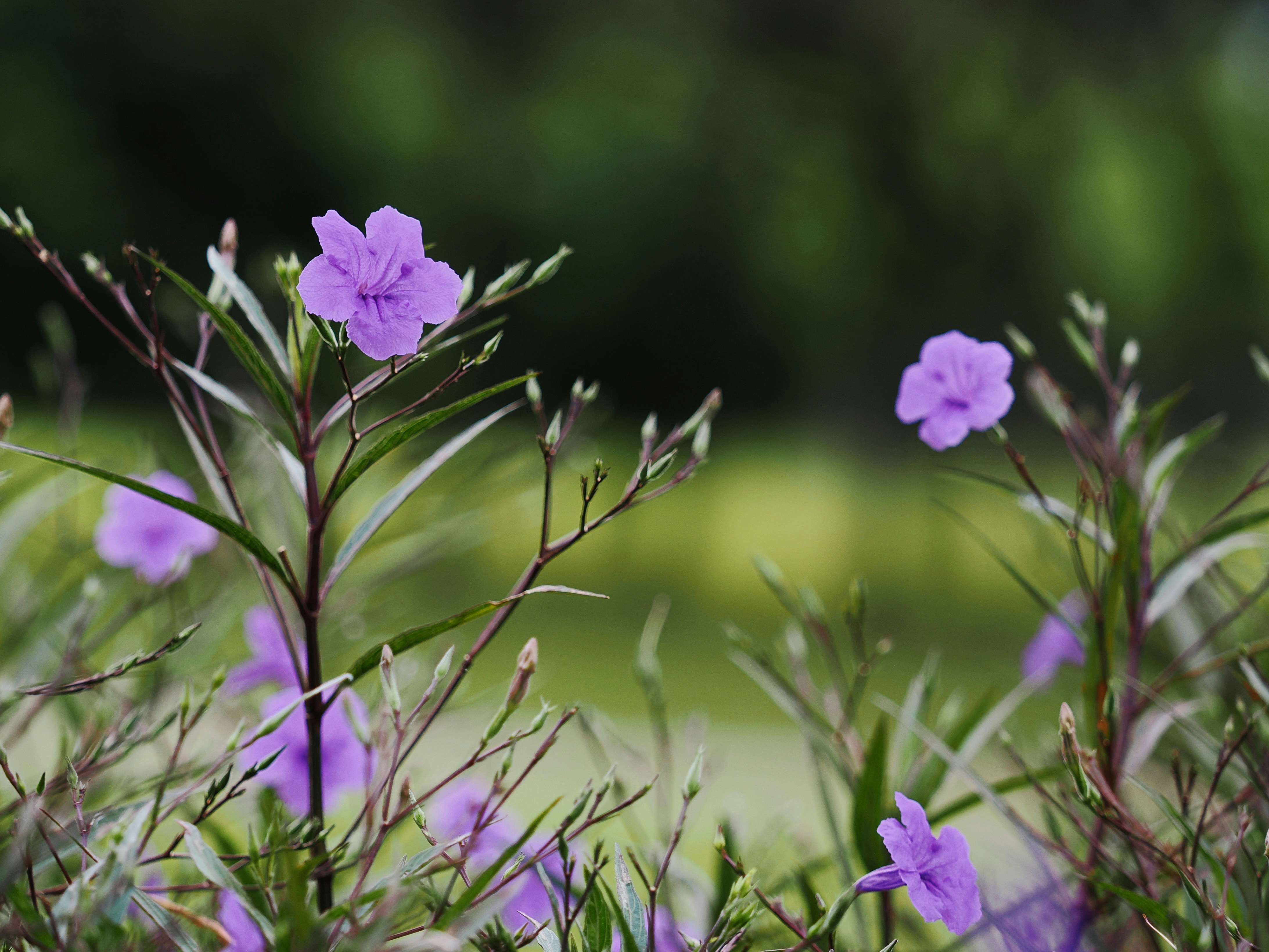 Photo by liliantruong2603