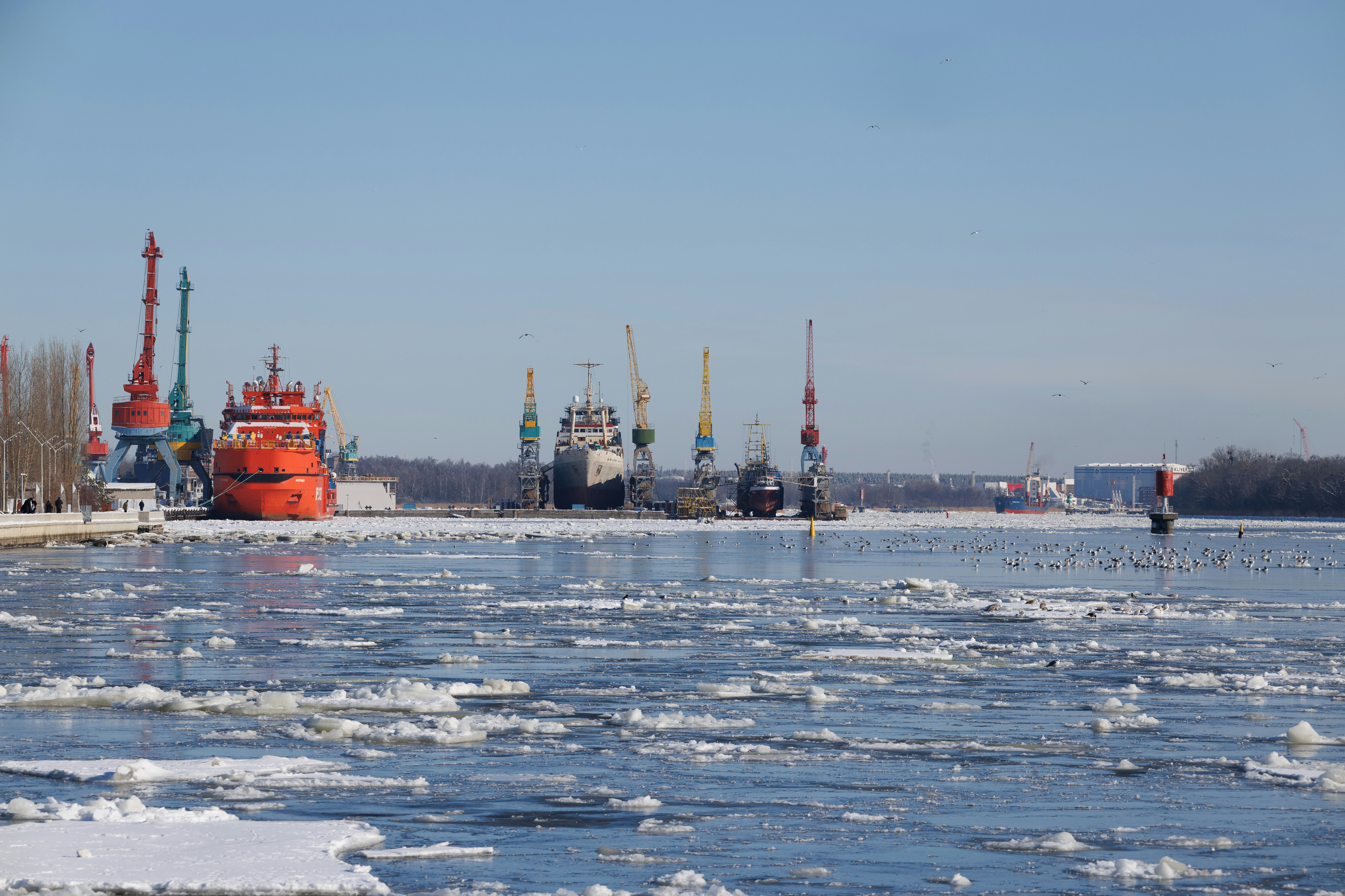 Bright orange working tugs and cranes line the Kaliningrad harbor as broken ice fills the foreground. A working industrial winter view of the Pregolya River port.