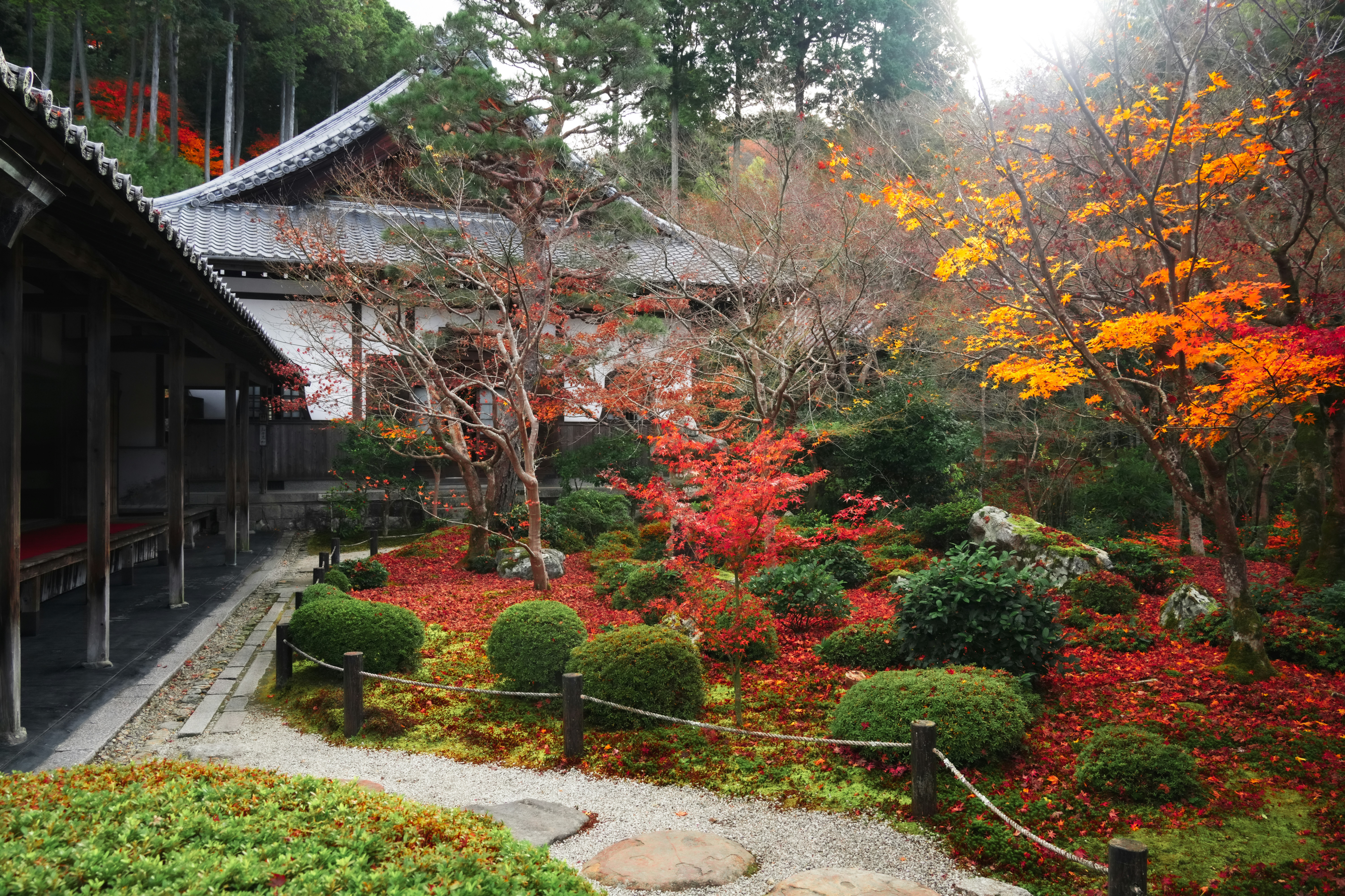 Photo by hattrick1996