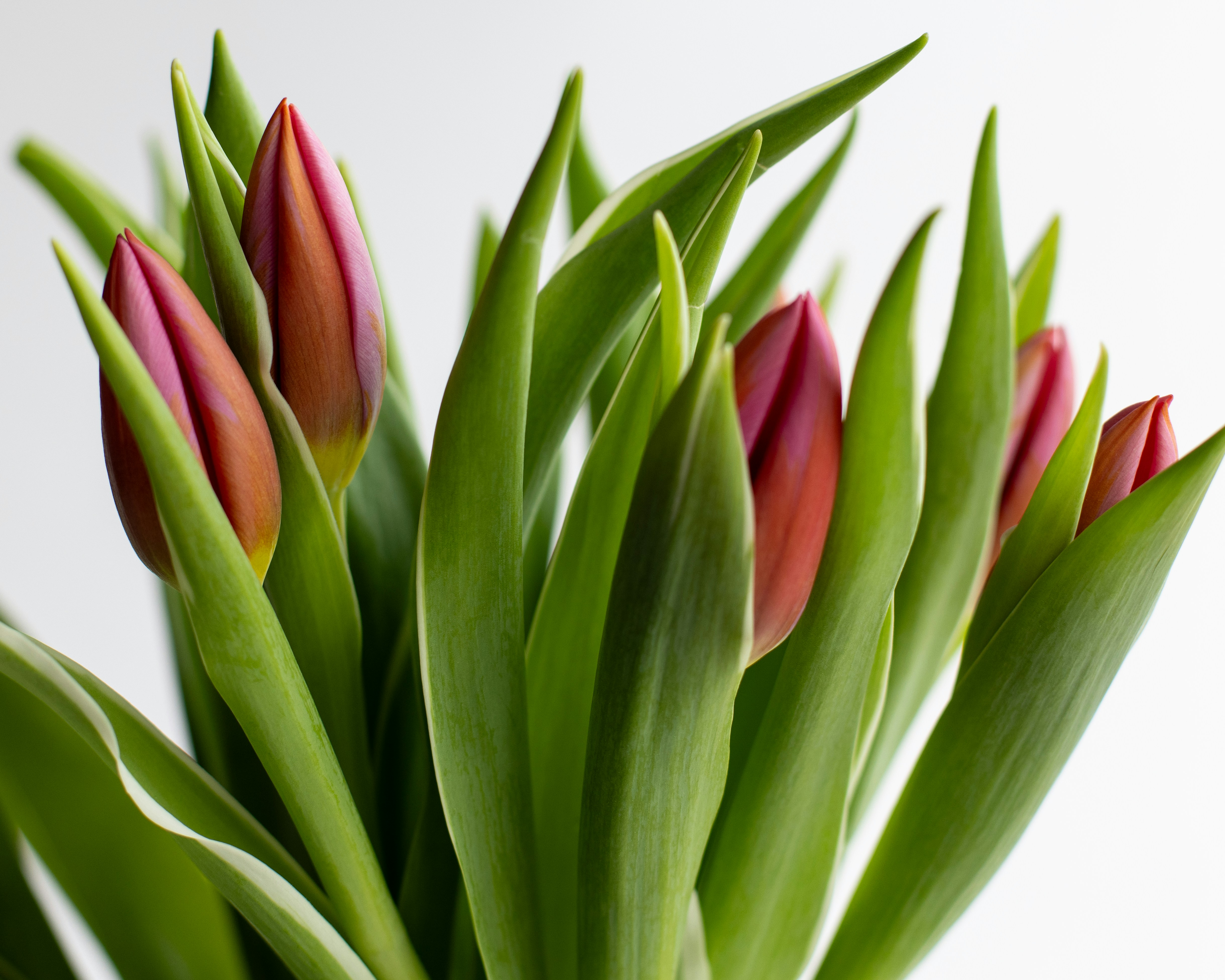 Photo by sixteenmilesout