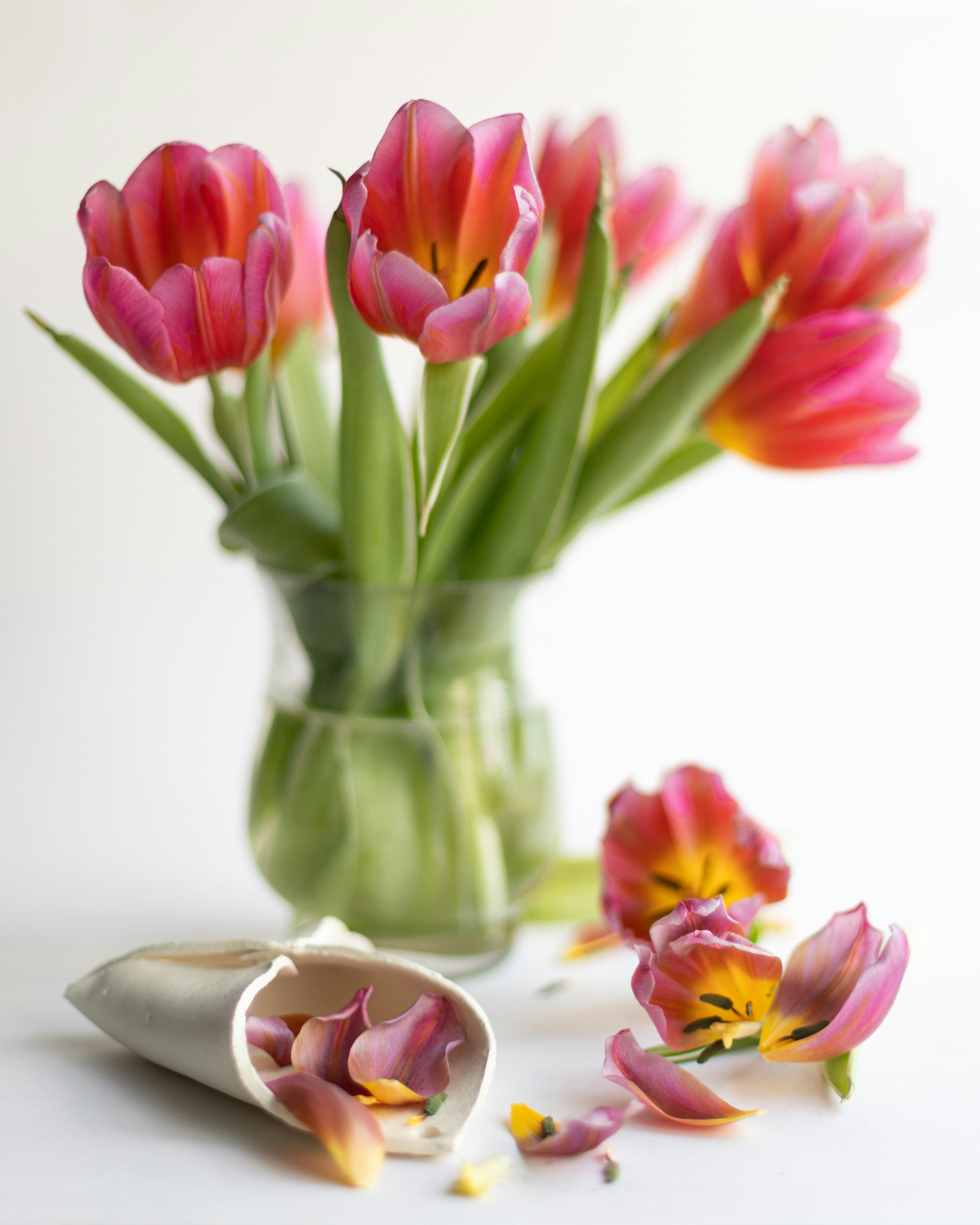 Photo by sixteenmilesout