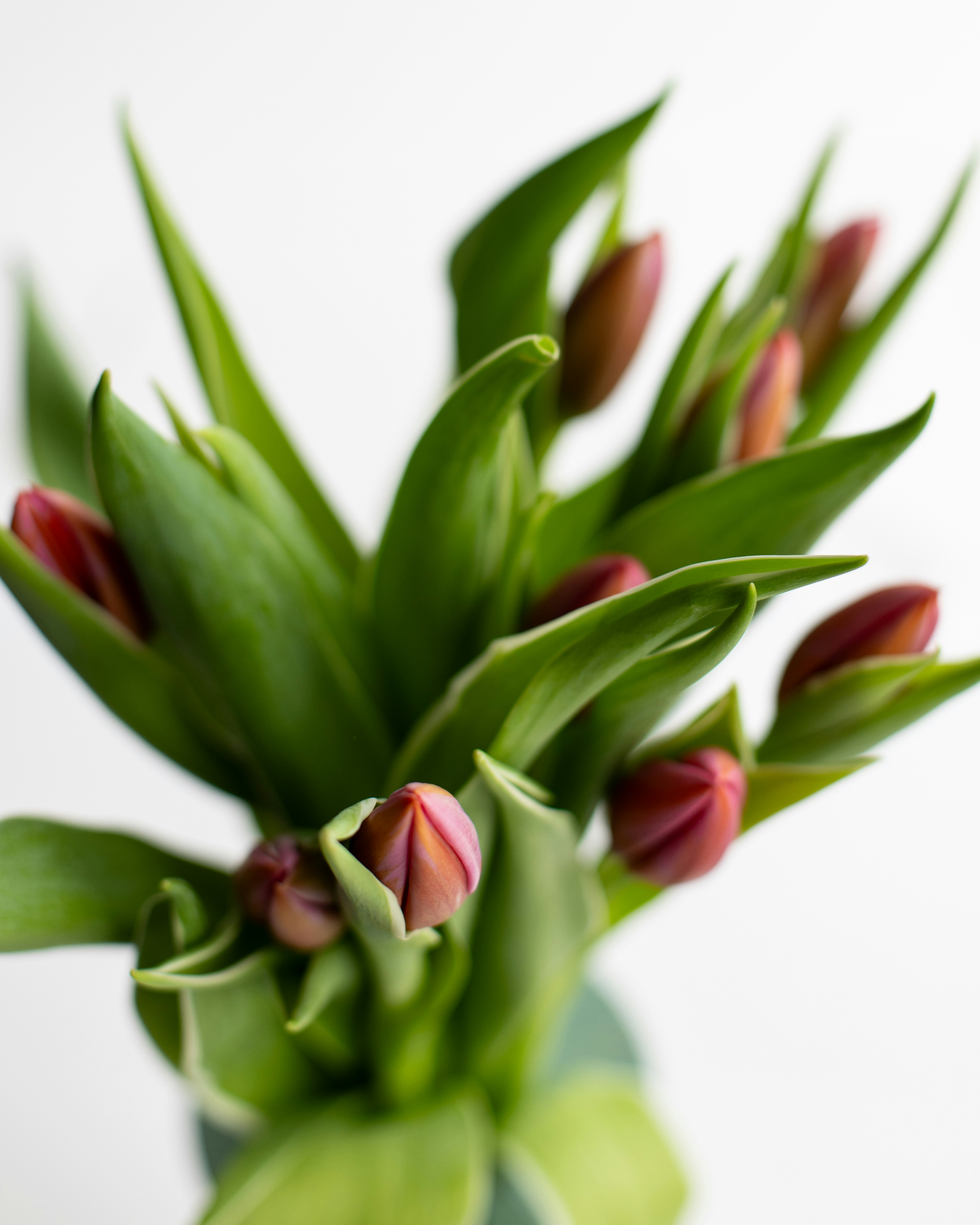 Photo by sixteenmilesout