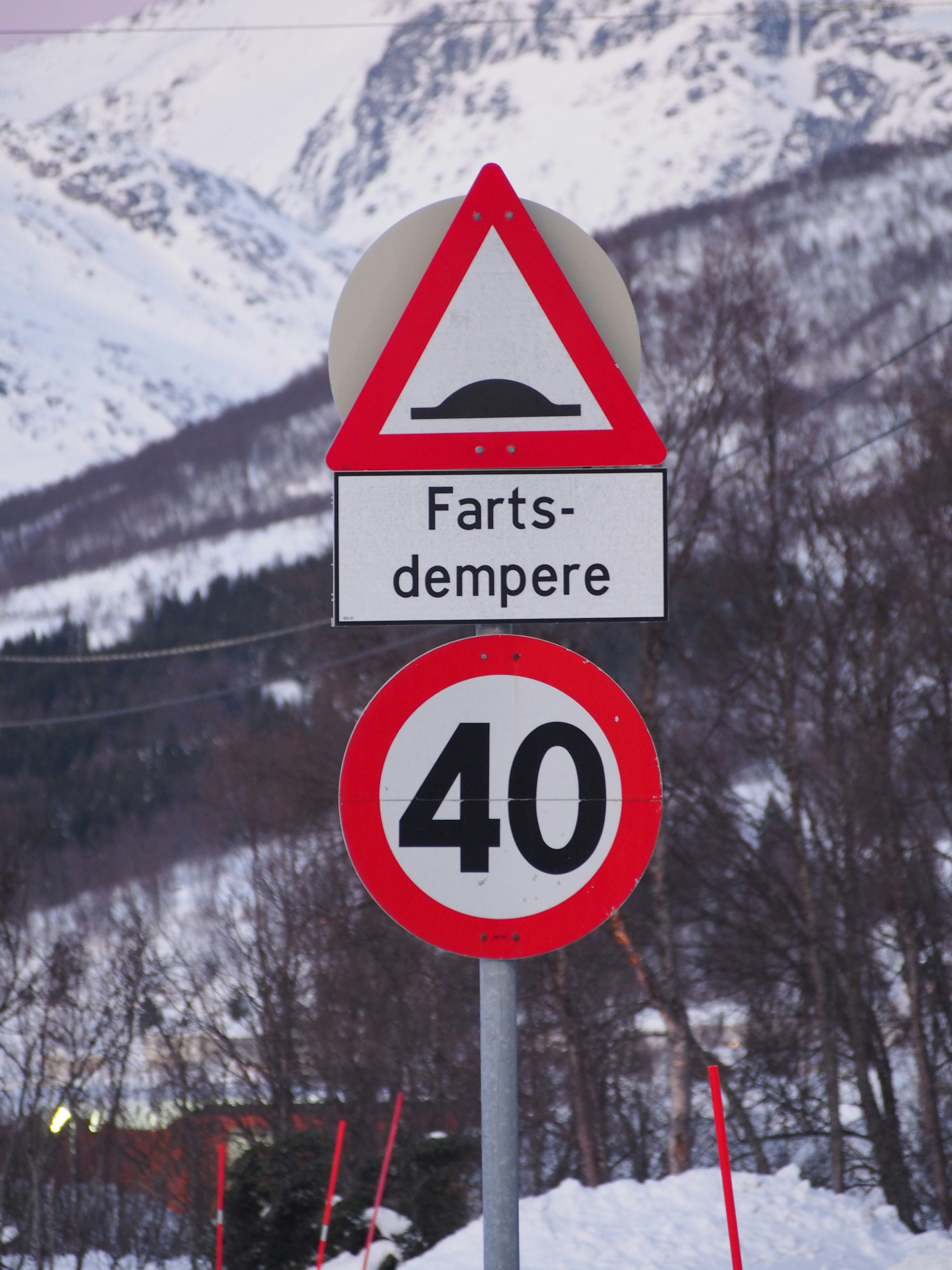 Speed bump and 40 km/h limit signs