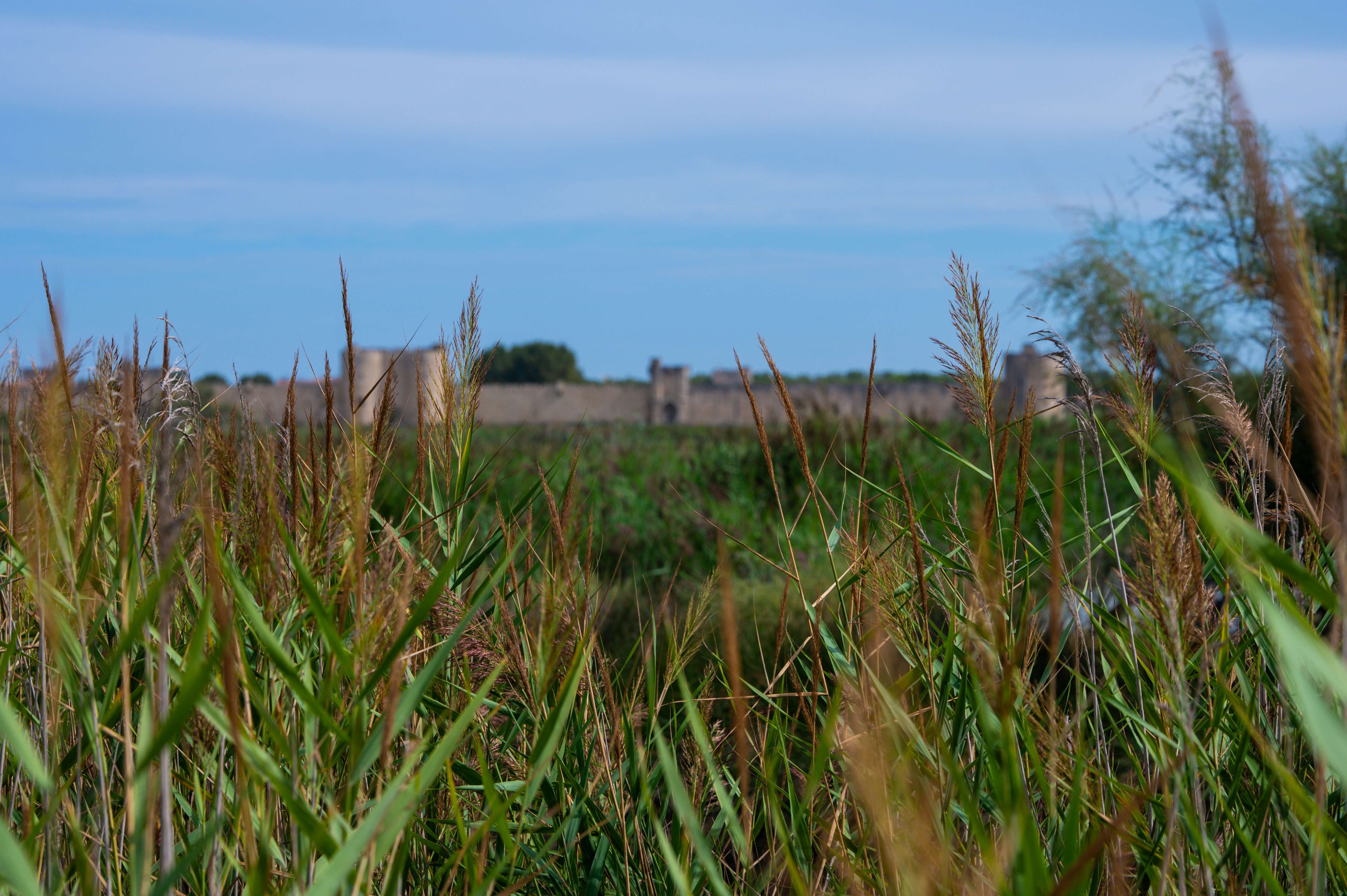 Photo by through_my_travel_lens