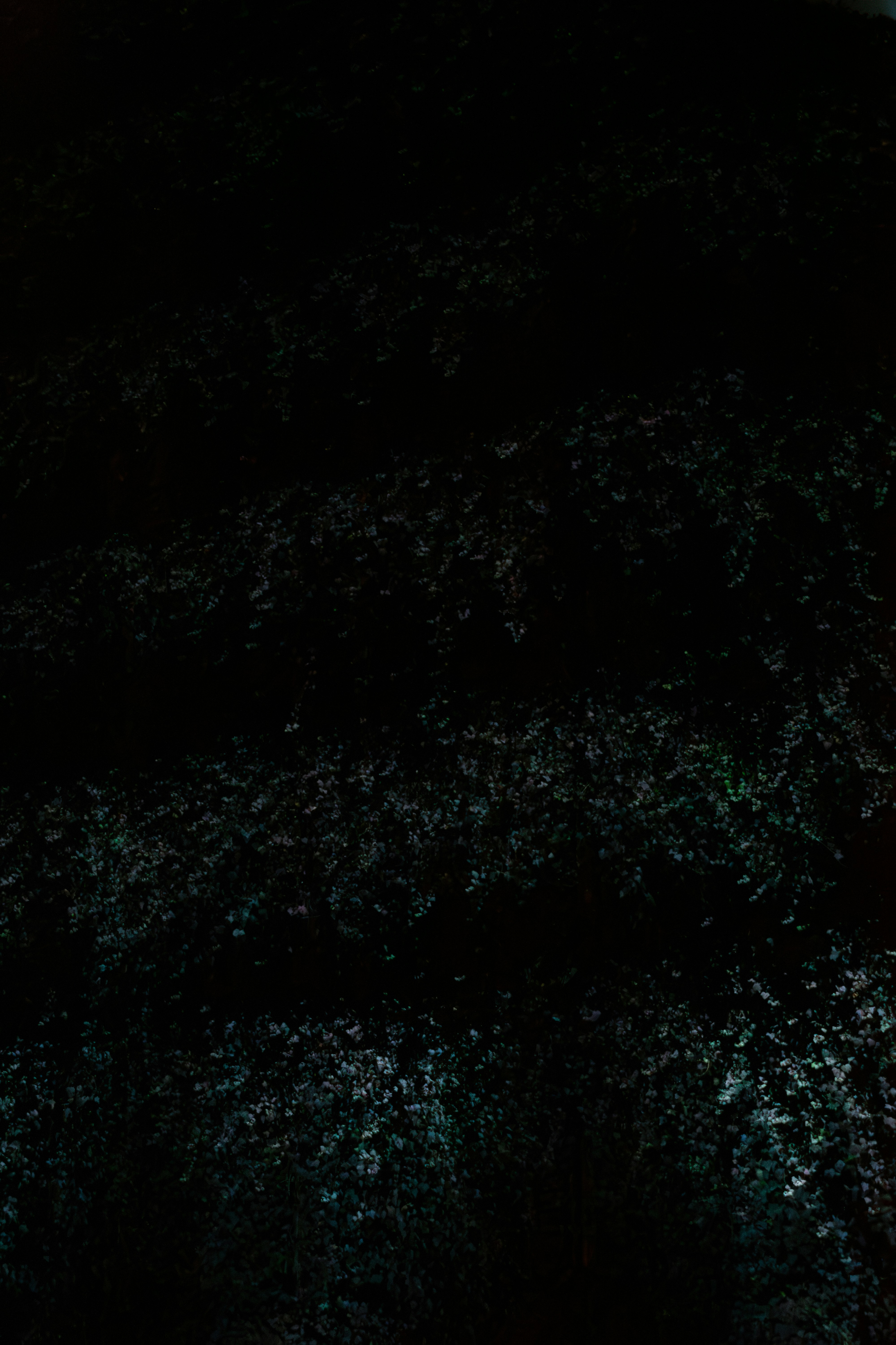 Photo by fabianmartinas6