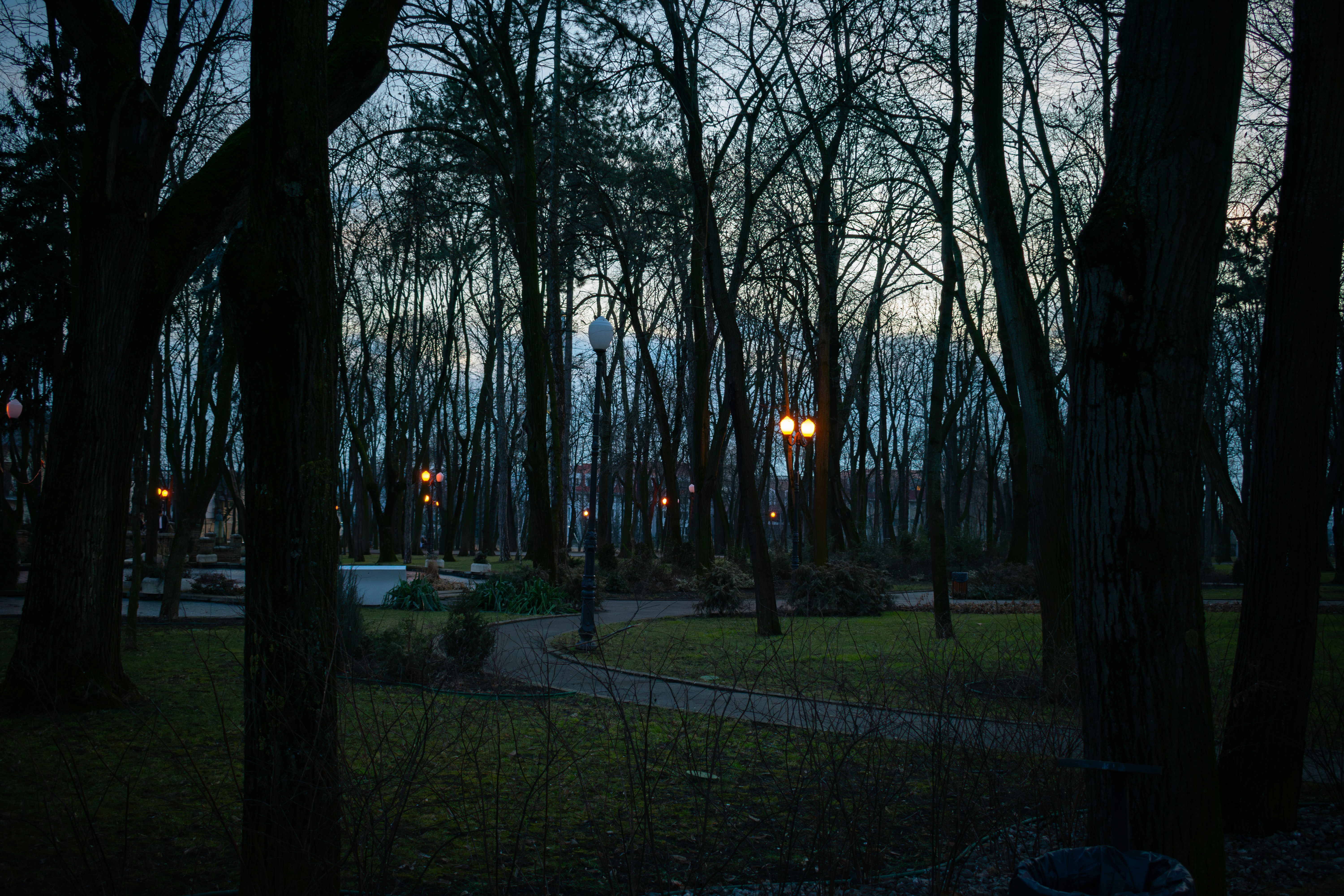 Photo by fabianmartinas6