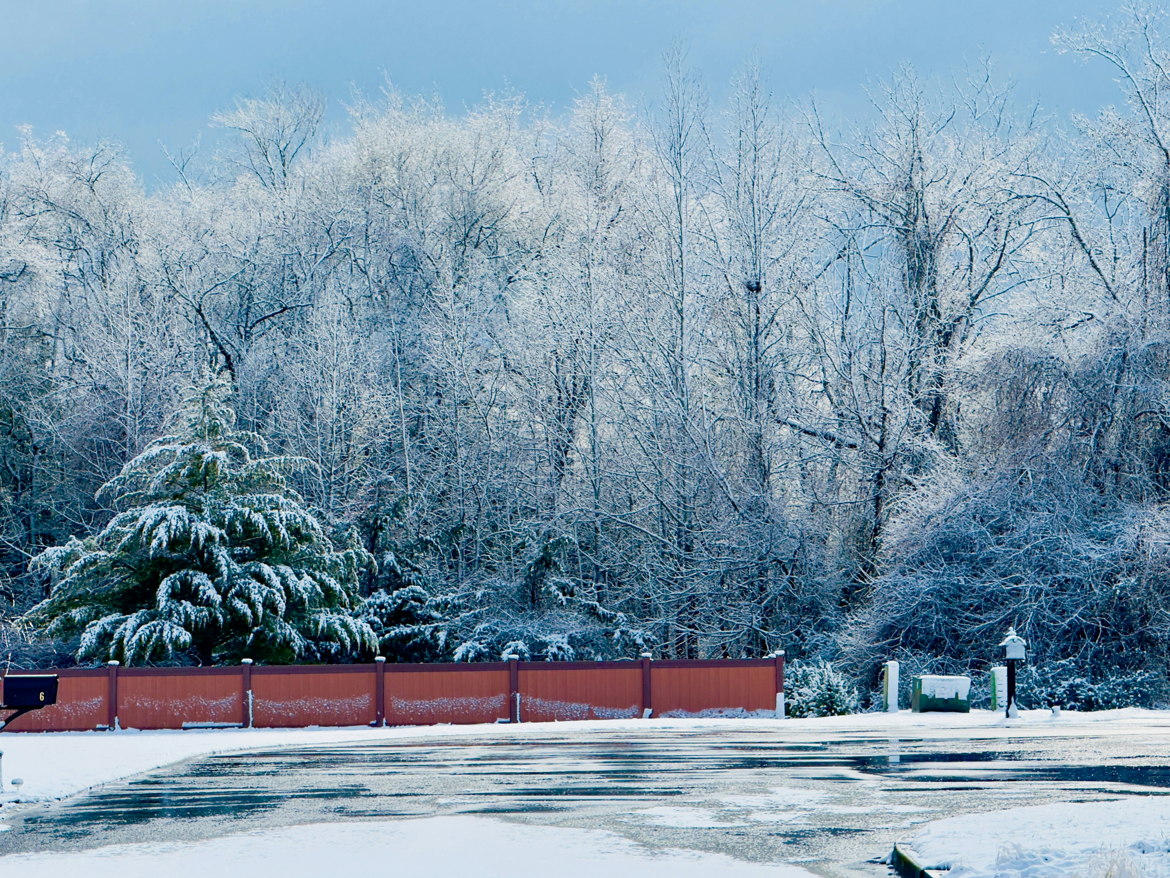 Snow covered trees line a red fence and parking lot.