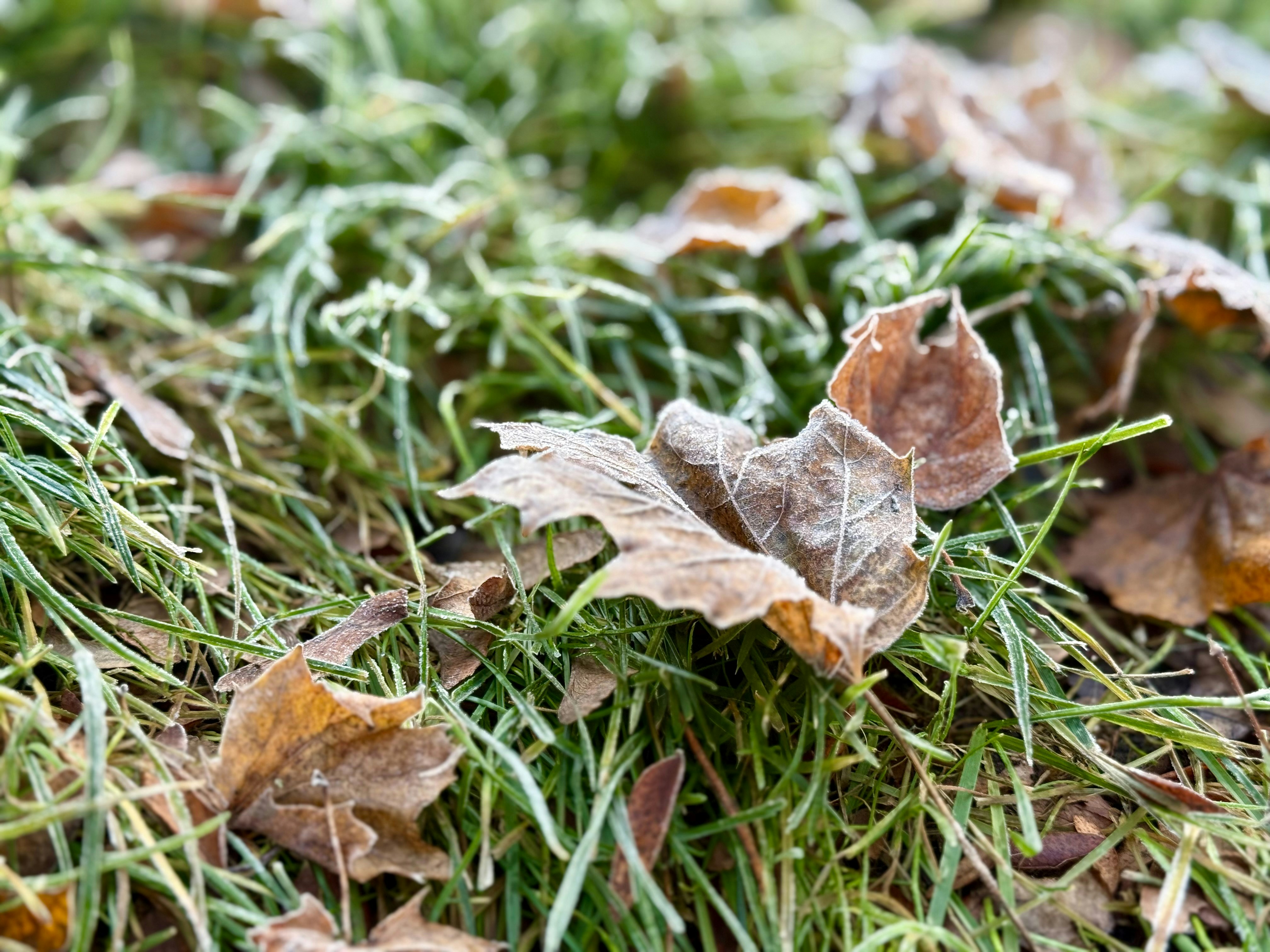 Photo by davidtoddmccarty