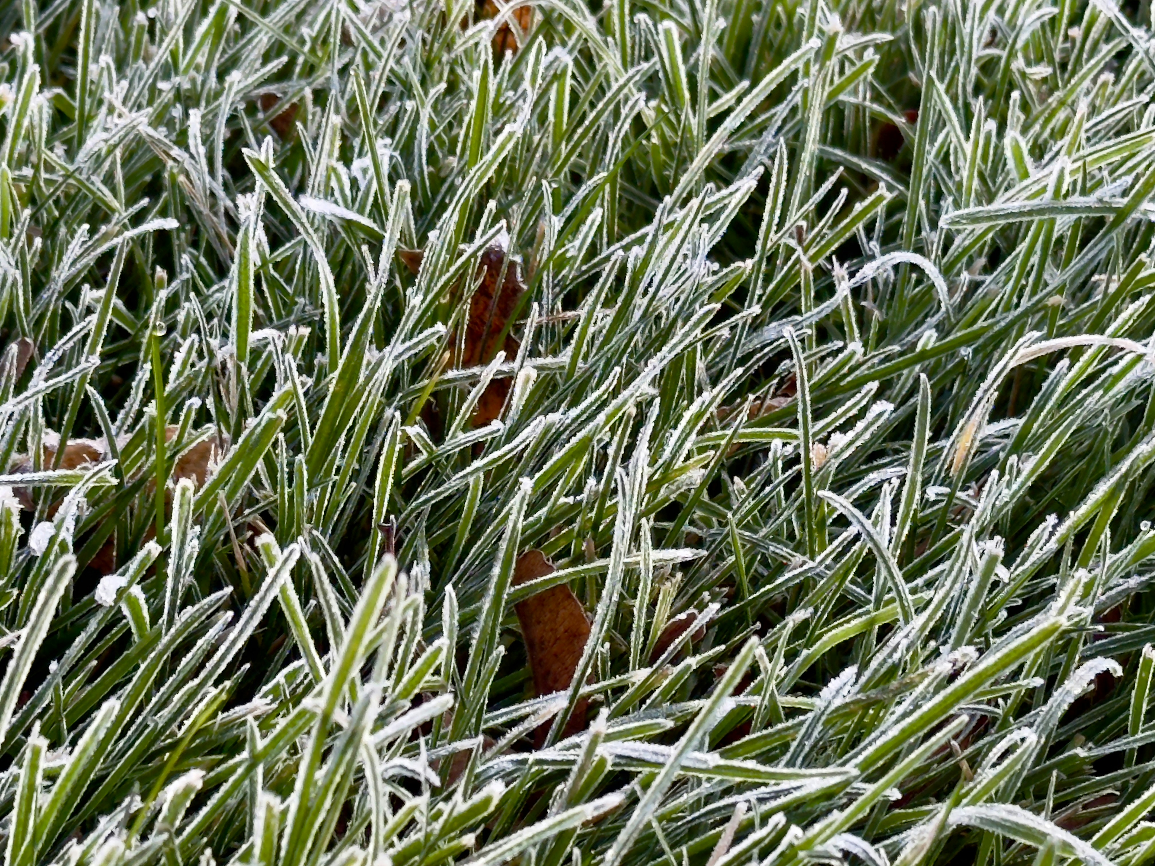 Photo by davidtoddmccarty